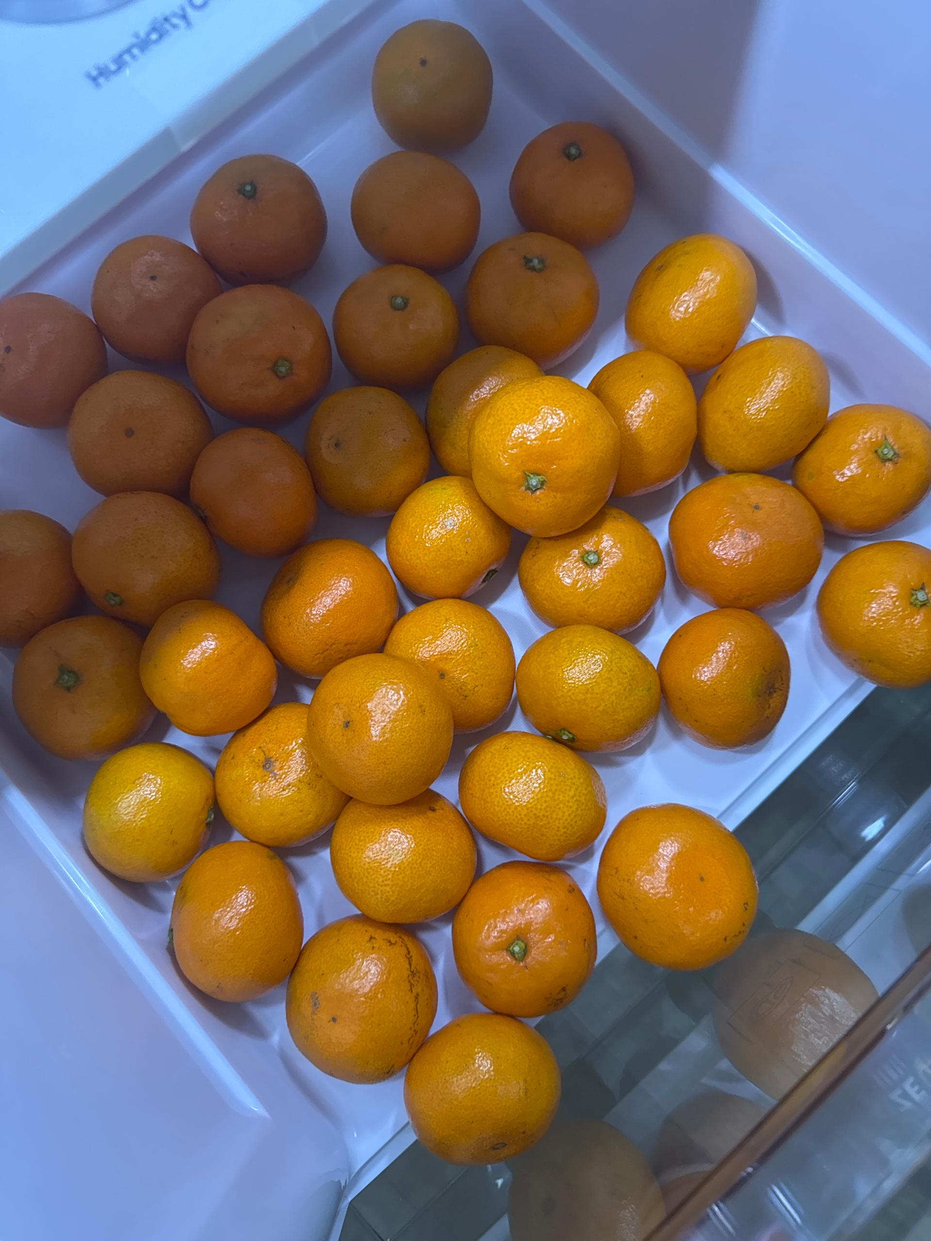 [연말한정! 감귤/오메기떡 개별 발송] 제주감귤 4kg (1박스)+오메기떡 20개 선물세트(택1)