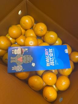 [연말한정! 감귤/과즐 개별 발송] 제주감귤 4kg (1박스)+감귤과즐 24봉 선물세트-1