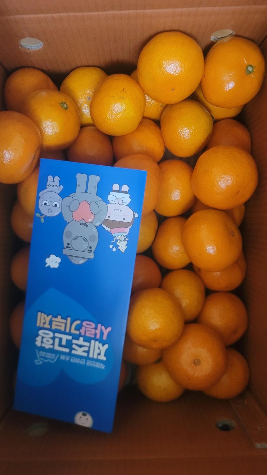 포토후기 이미지