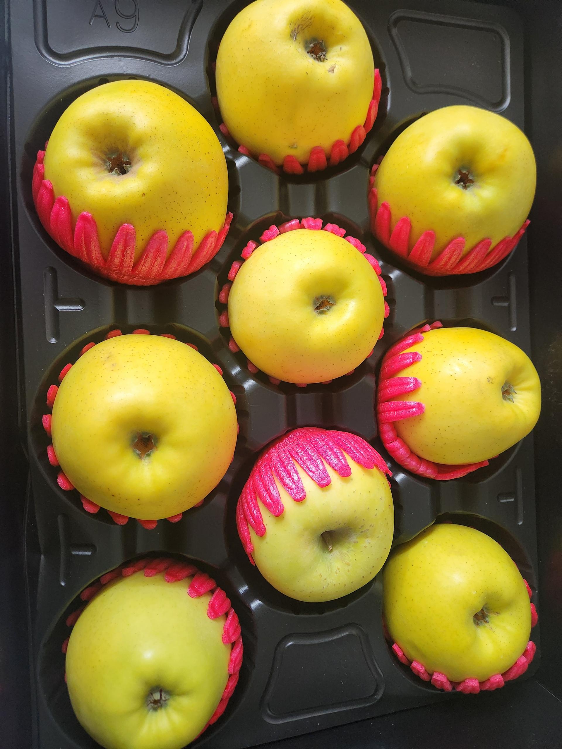 대경사과원예농협]영주사과 3.2kg 선물세트+1kg 추가 증정 (10입내)