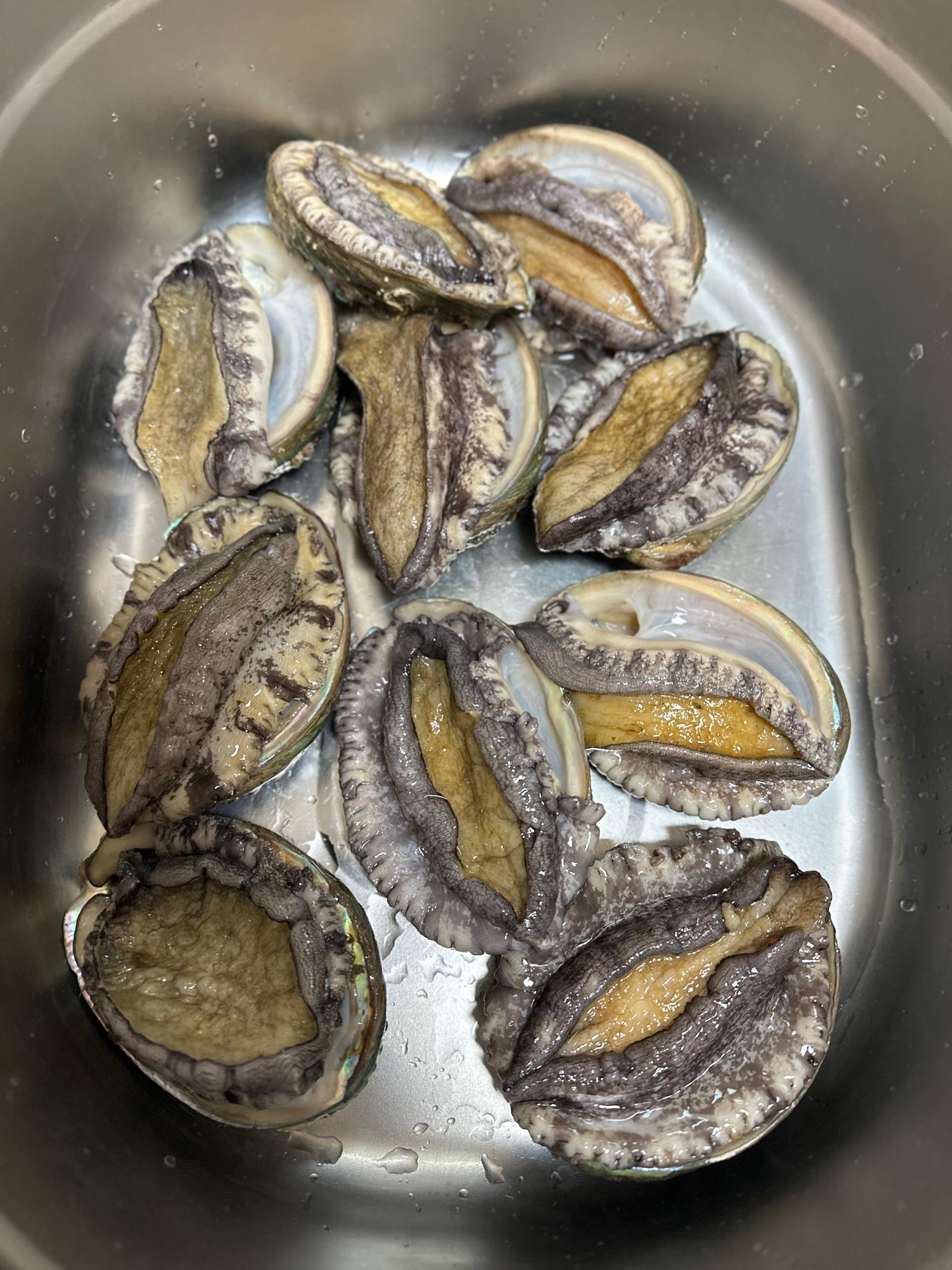 포토후기 이미지