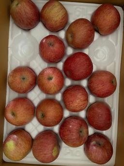 풍기농협 영주사과 3.5kg + 1kg 추가증정-1