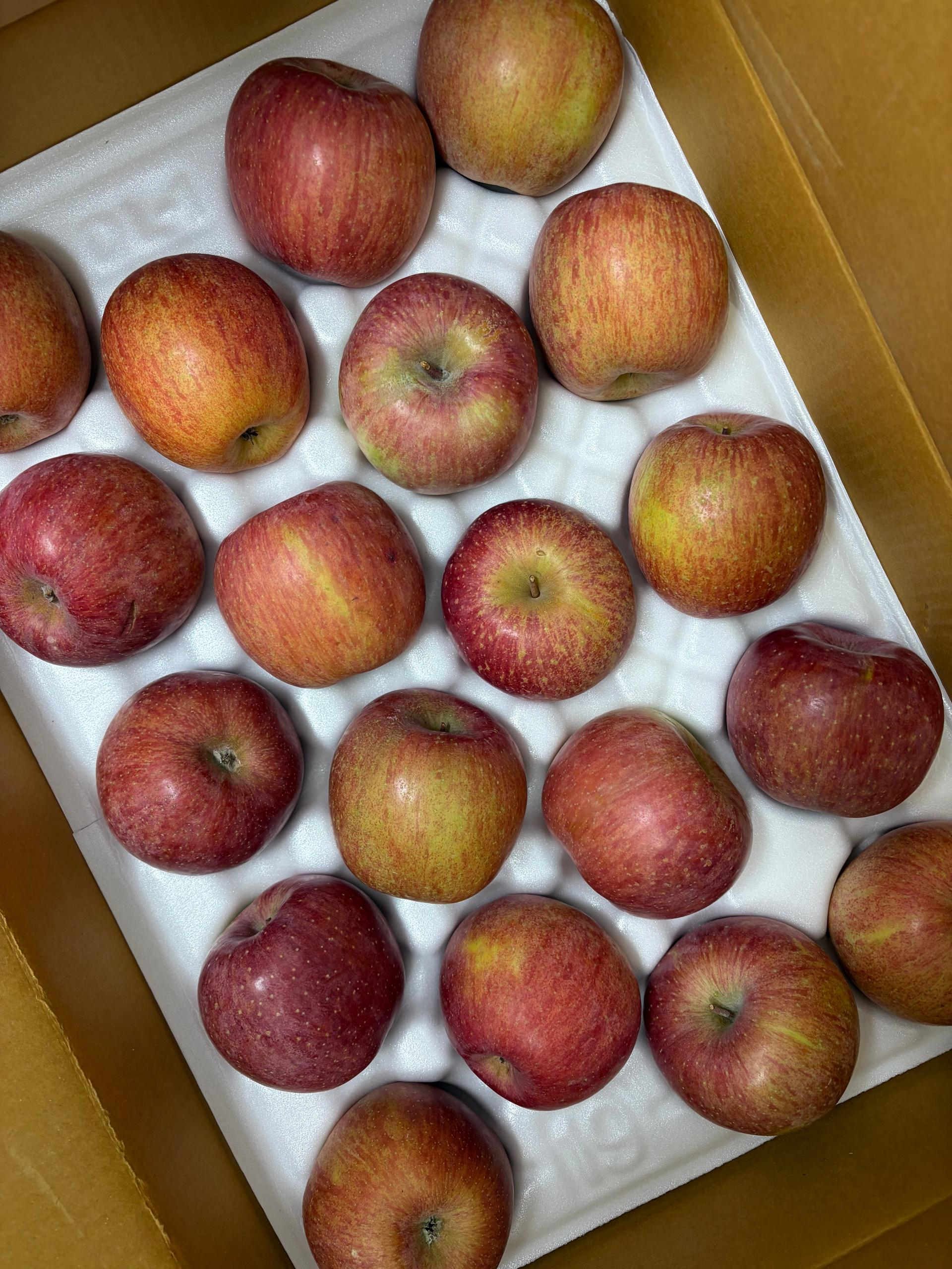 포토후기 이미지