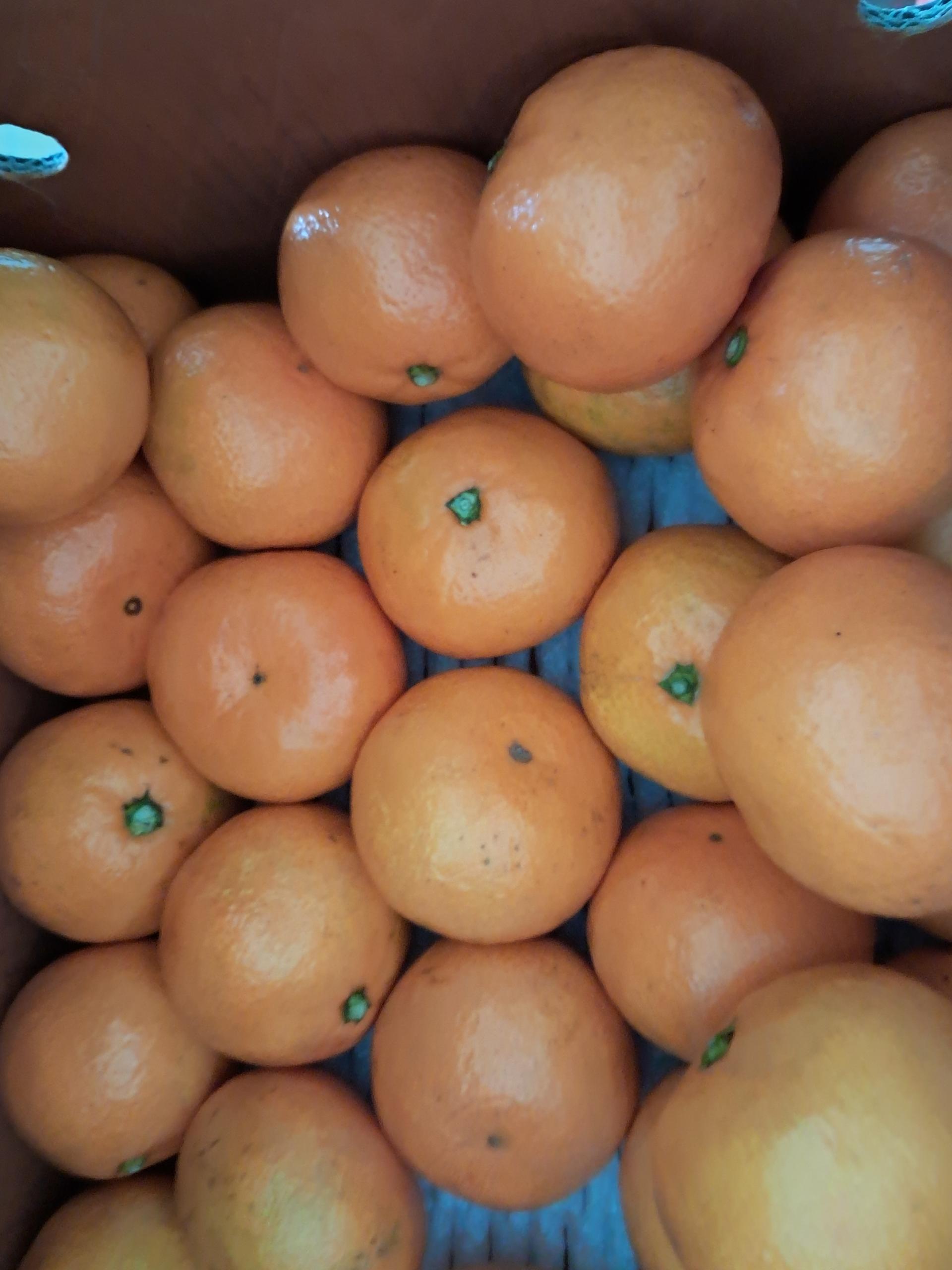 포토후기 이미지