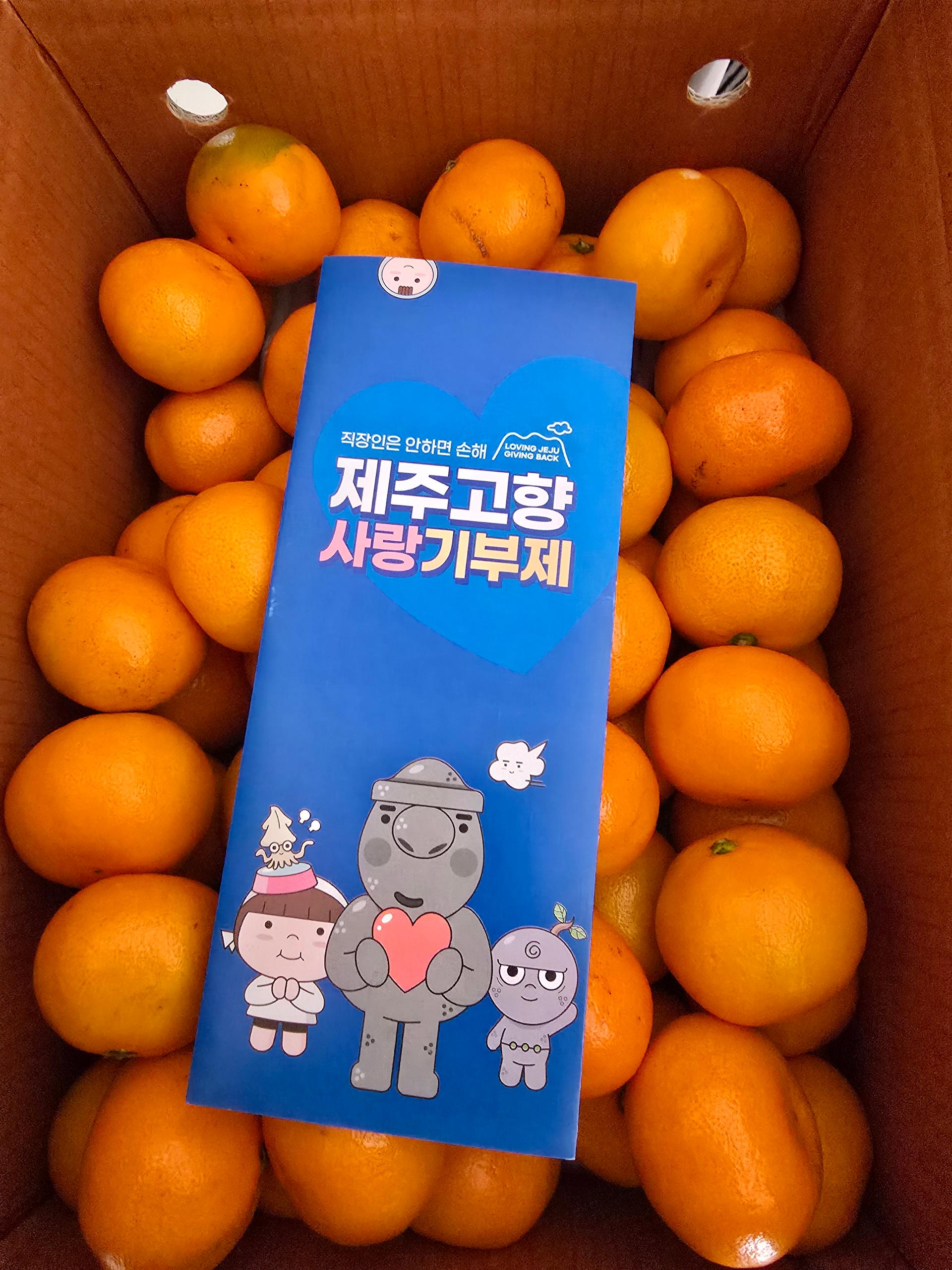 포토후기 이미지