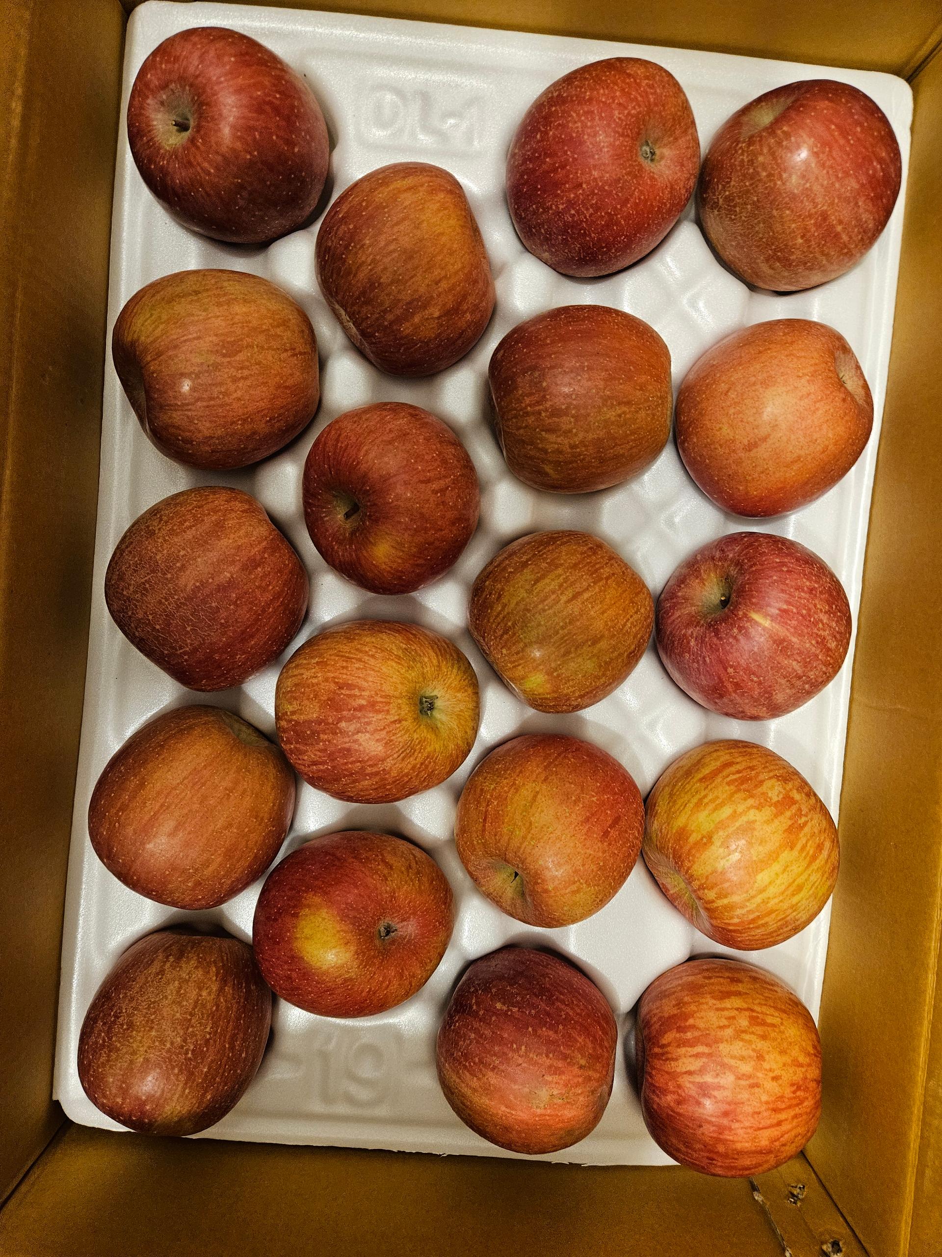 포토후기 이미지