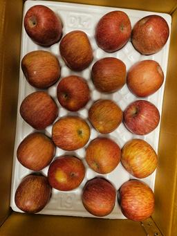 풍기농협 영주사과 3.5kg + 1kg 추가증정-1