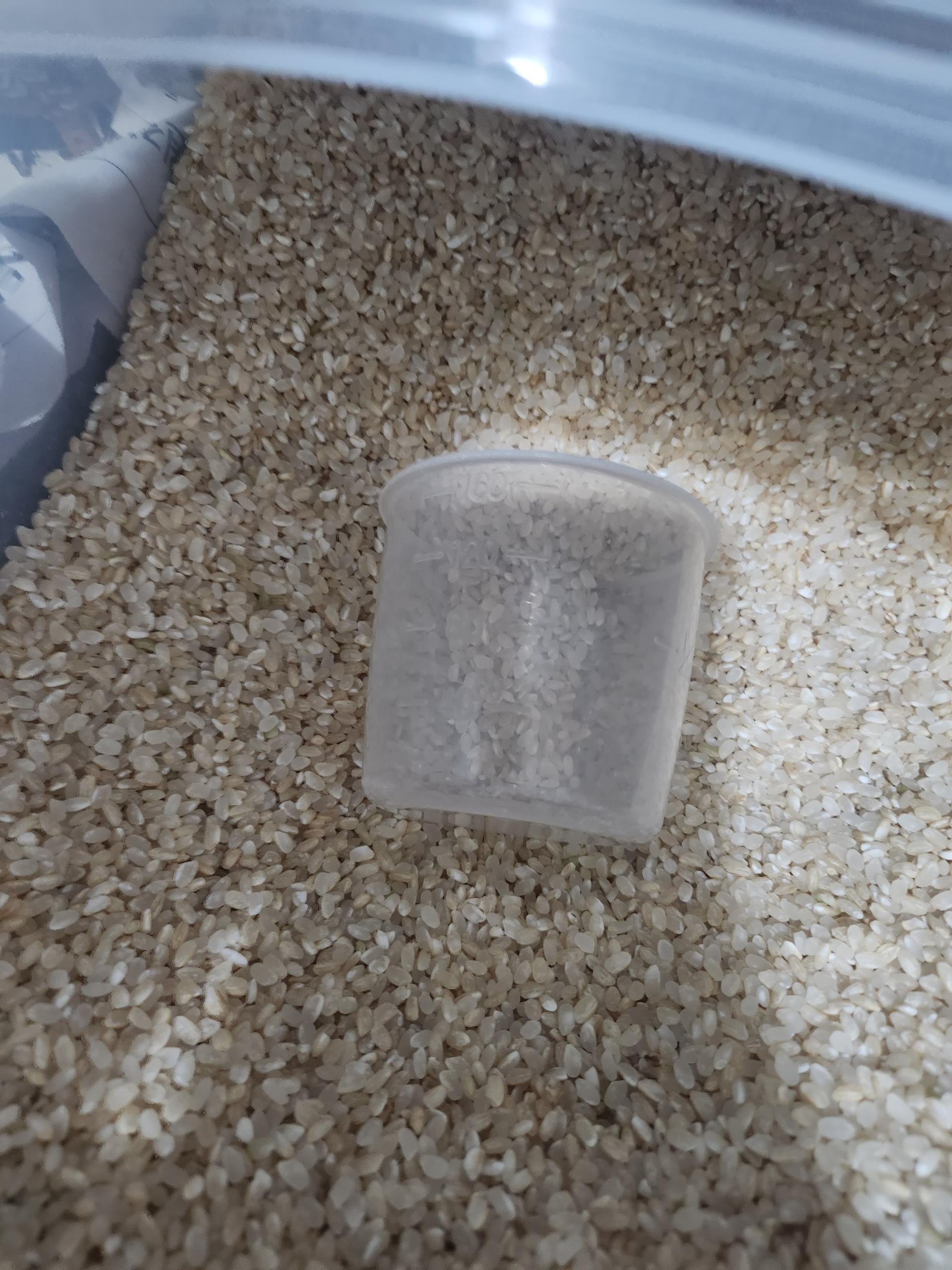 삼대 청정햇쌀 오분도미 현미 10kg