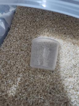 삼대 청정햇쌀 오분도미 현미 10kg-1