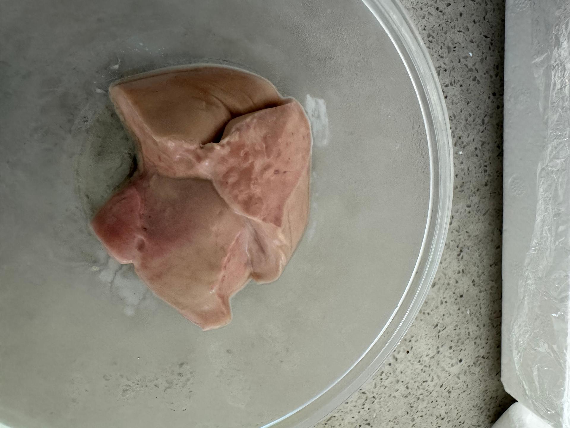 홍어 600g + 홍어애 국산홍어 목포홍어 팔도홍어