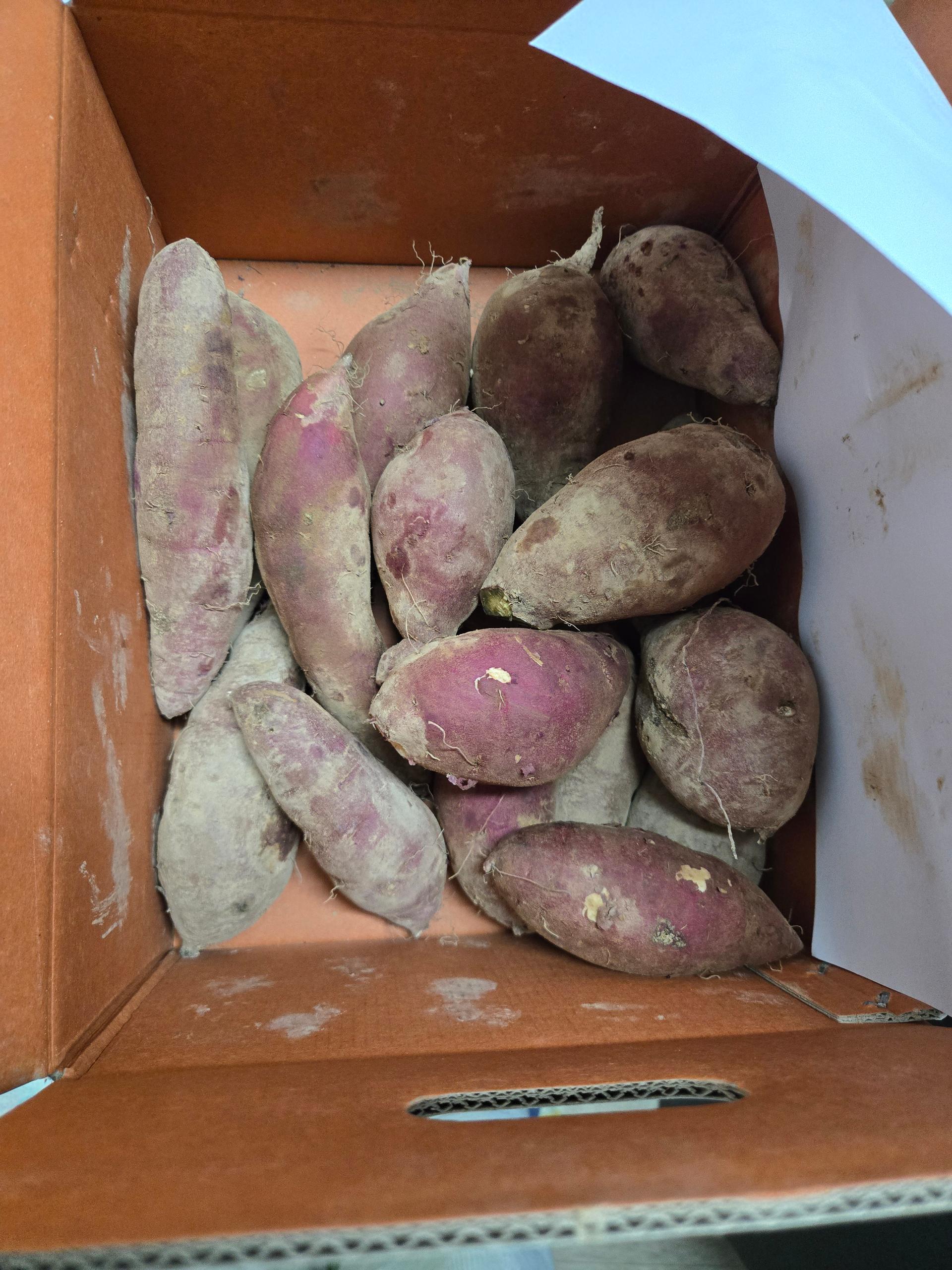 욕지도 고구마 (꿀고구마 5kg, 밤고구마 5kg, 호박고구마 5kg) 