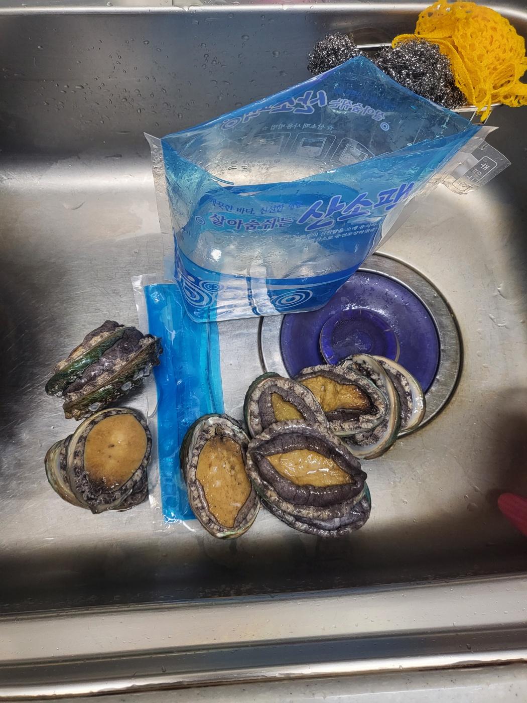 활전복 1kg (10~12미) + 1마리 추가