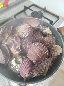 통영 홍가리비(6kg/12kg)-1