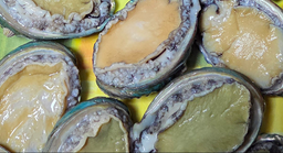 활전복 1kg (10~12미) + 1마리 추가-1