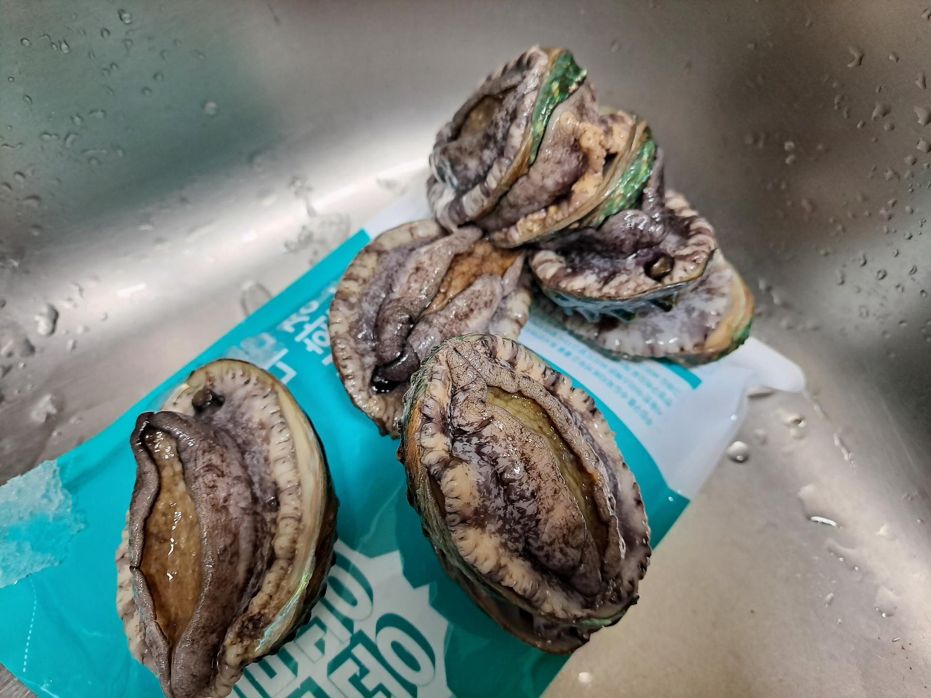 땅끝일번가전복 활전복 18미 - 1kg