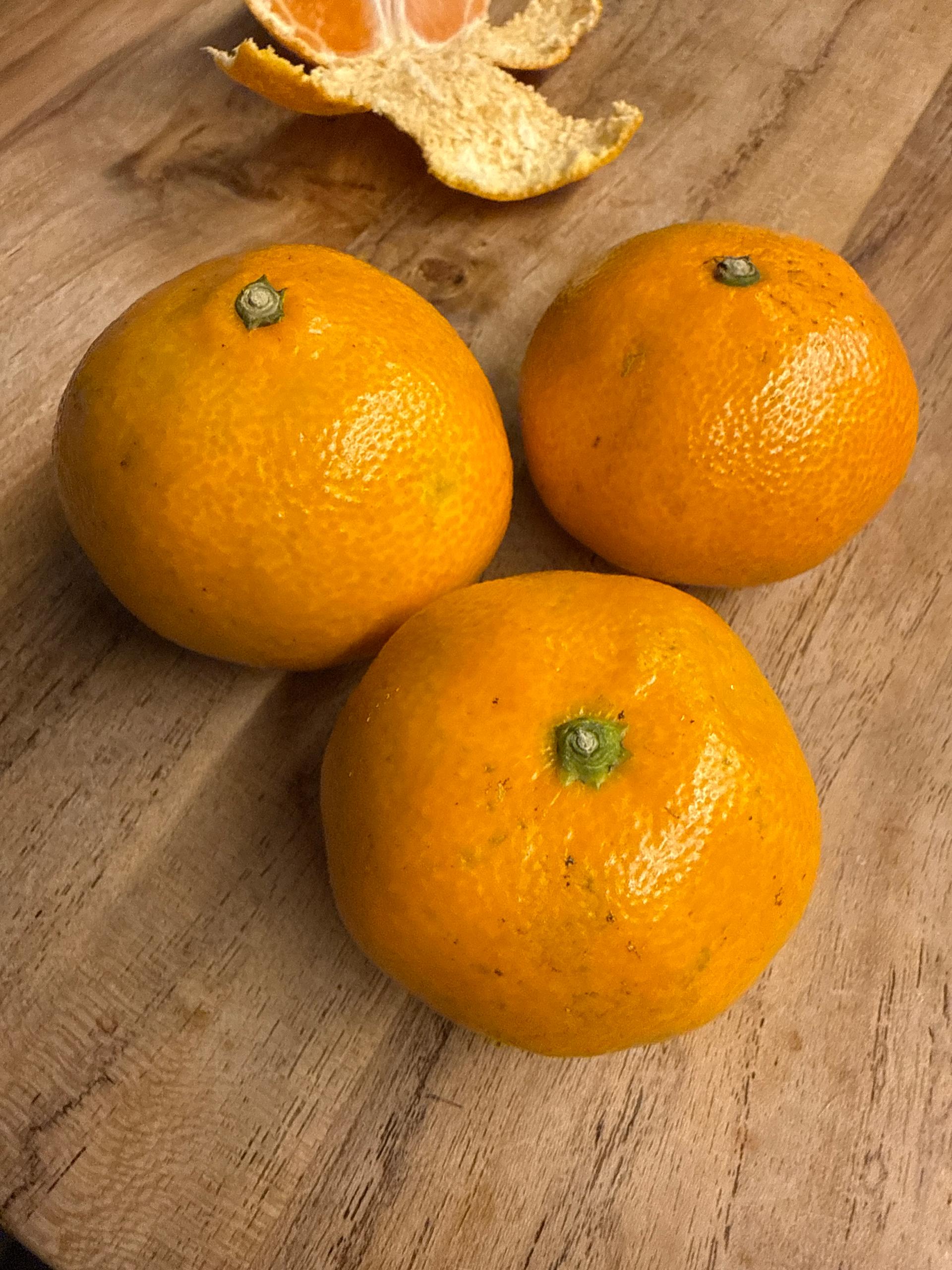 [연말한정! 감귤/과즐 개별 발송] 제주감귤 4kg (1박스)+감귤과즐 24봉 선물세트