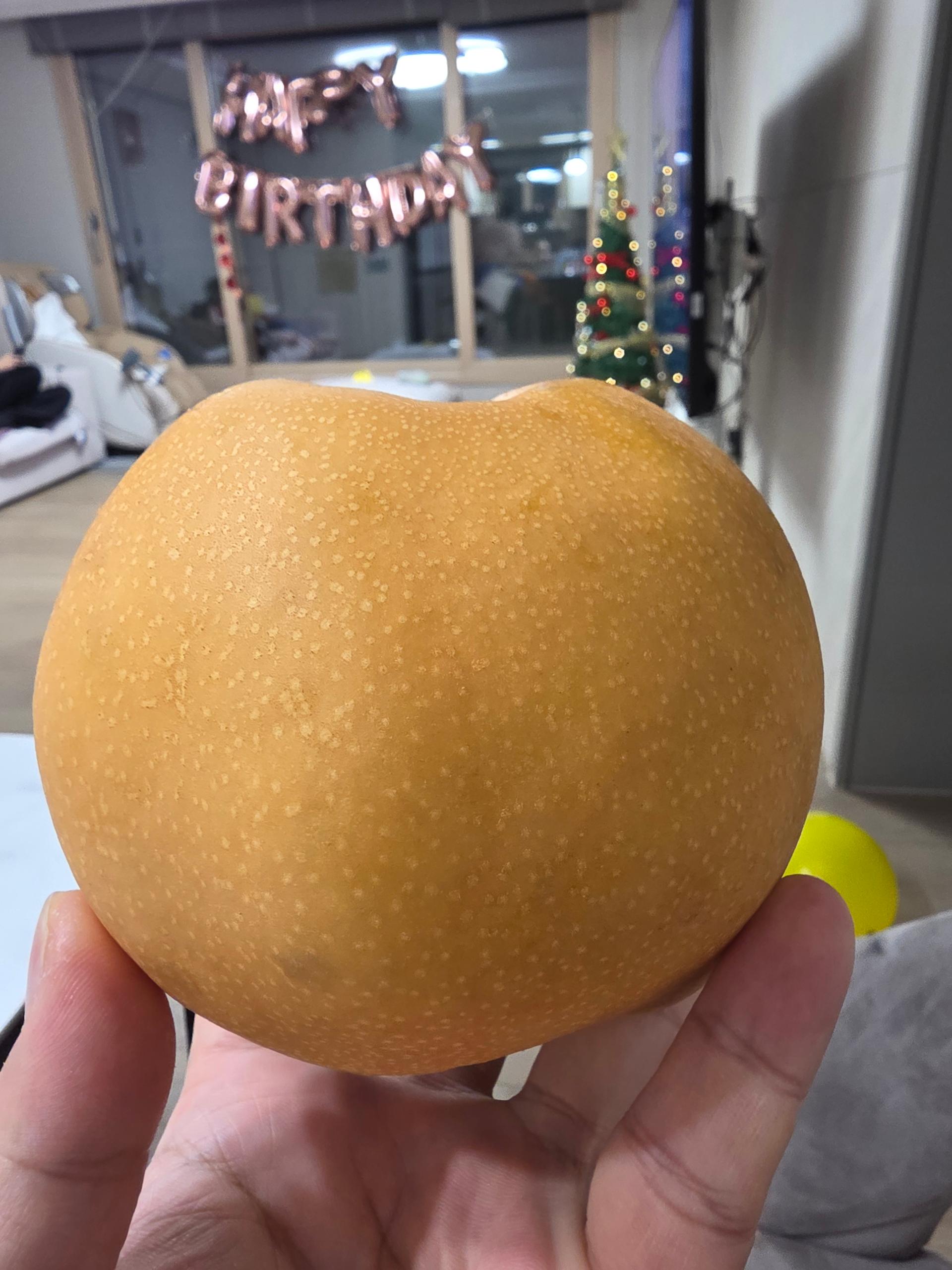 전남 나주 나주배 선물세트 5kg, 7.5kg