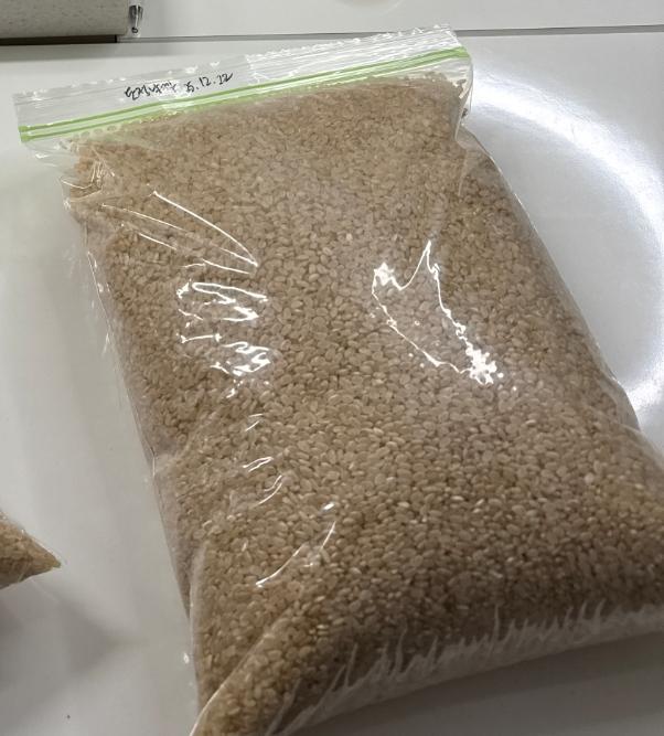 삼대 청정햇쌀 오분도미 현미 10kg