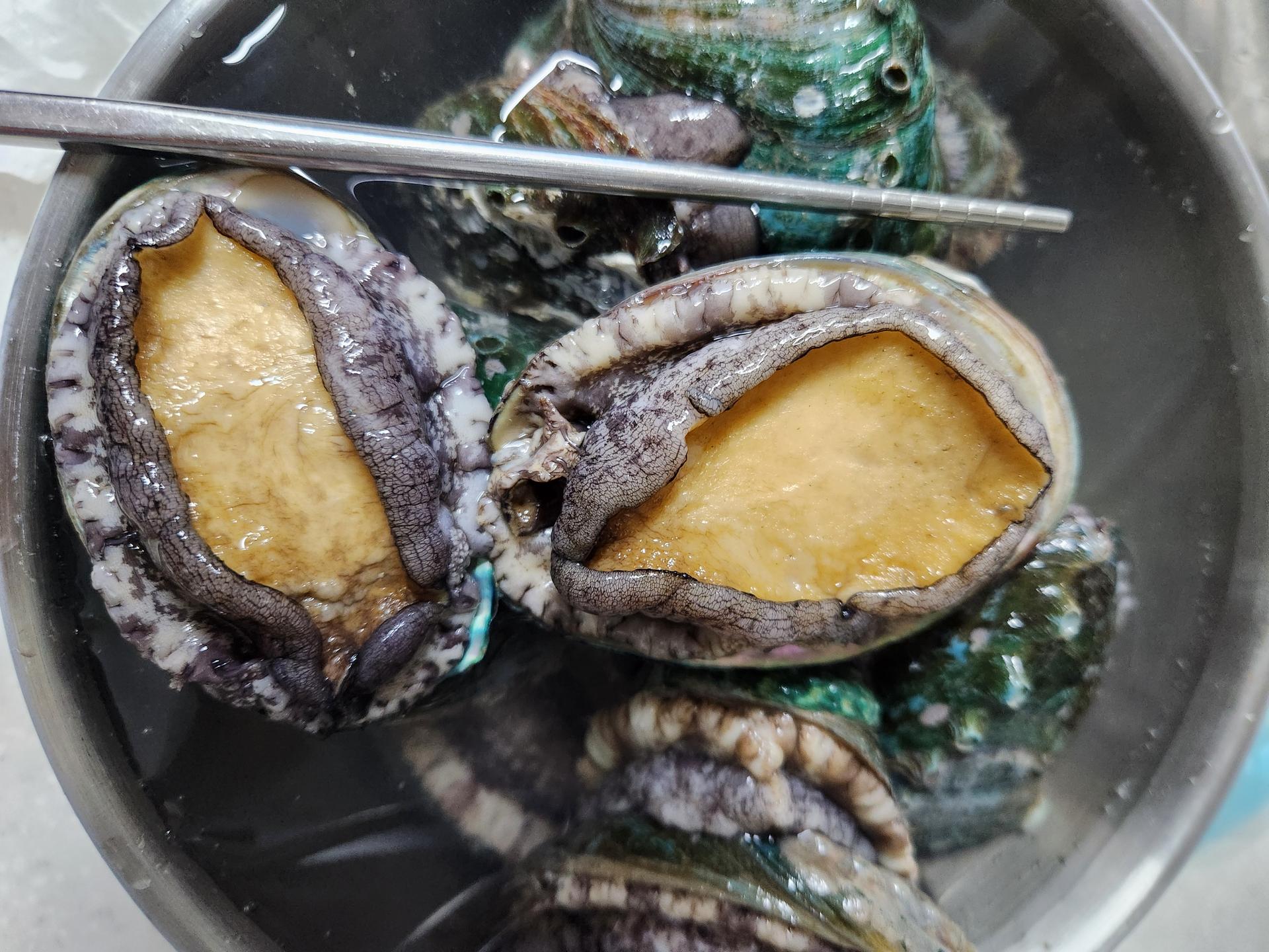 땅끝일번가전복 활전복 18미 - 1kg