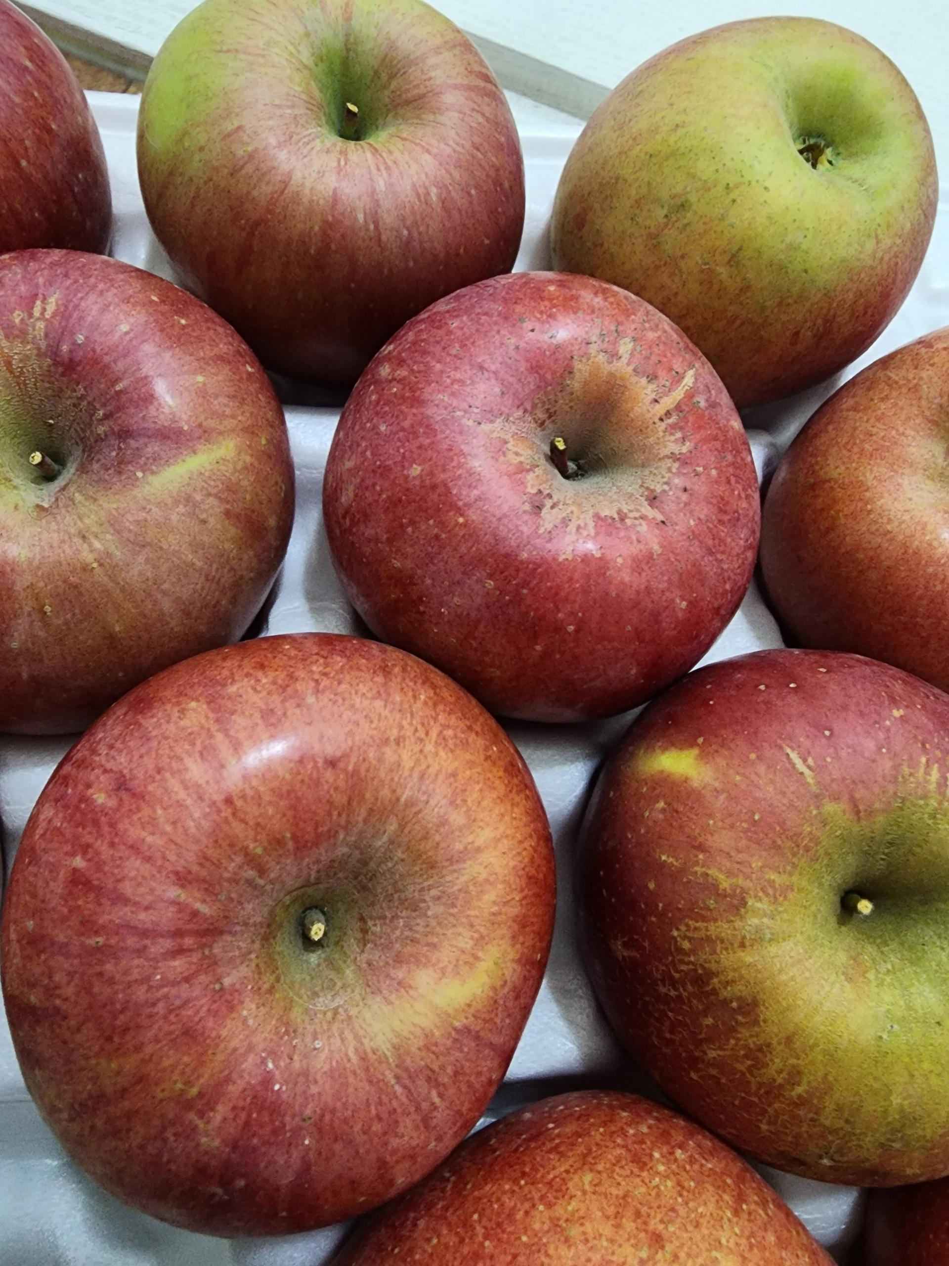 무주 반딧불 부사 4kg(18과)