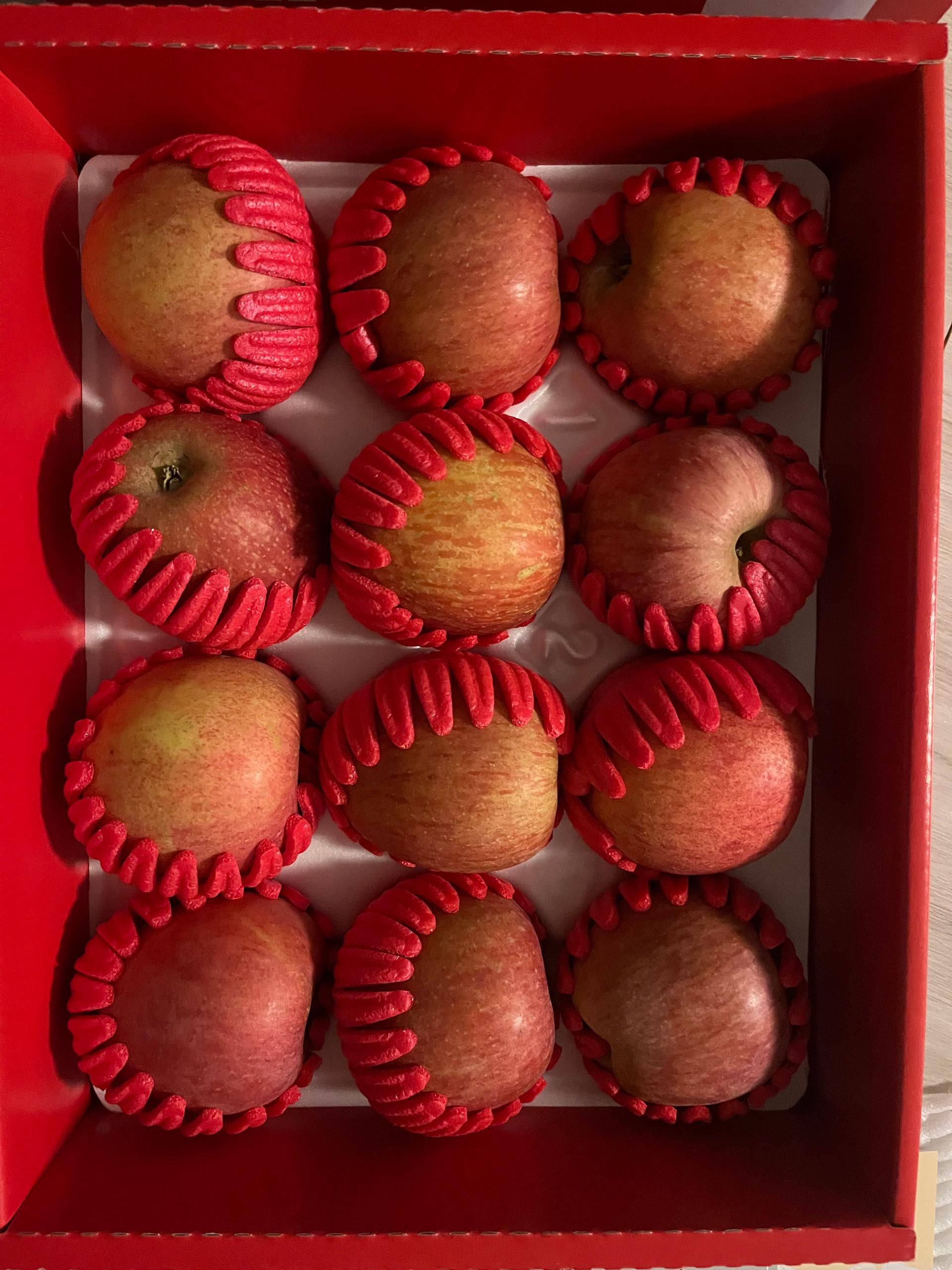 무주 반딧불 부사 3kg(12과)