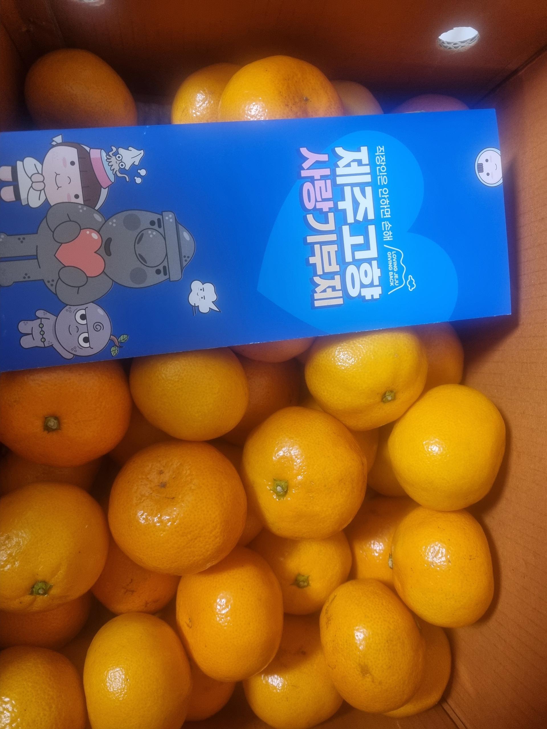 [연말한정! 감귤/흑돼지 개별 발송] 제주감귤 4kg (1박스)+흑돼지세트 이미지