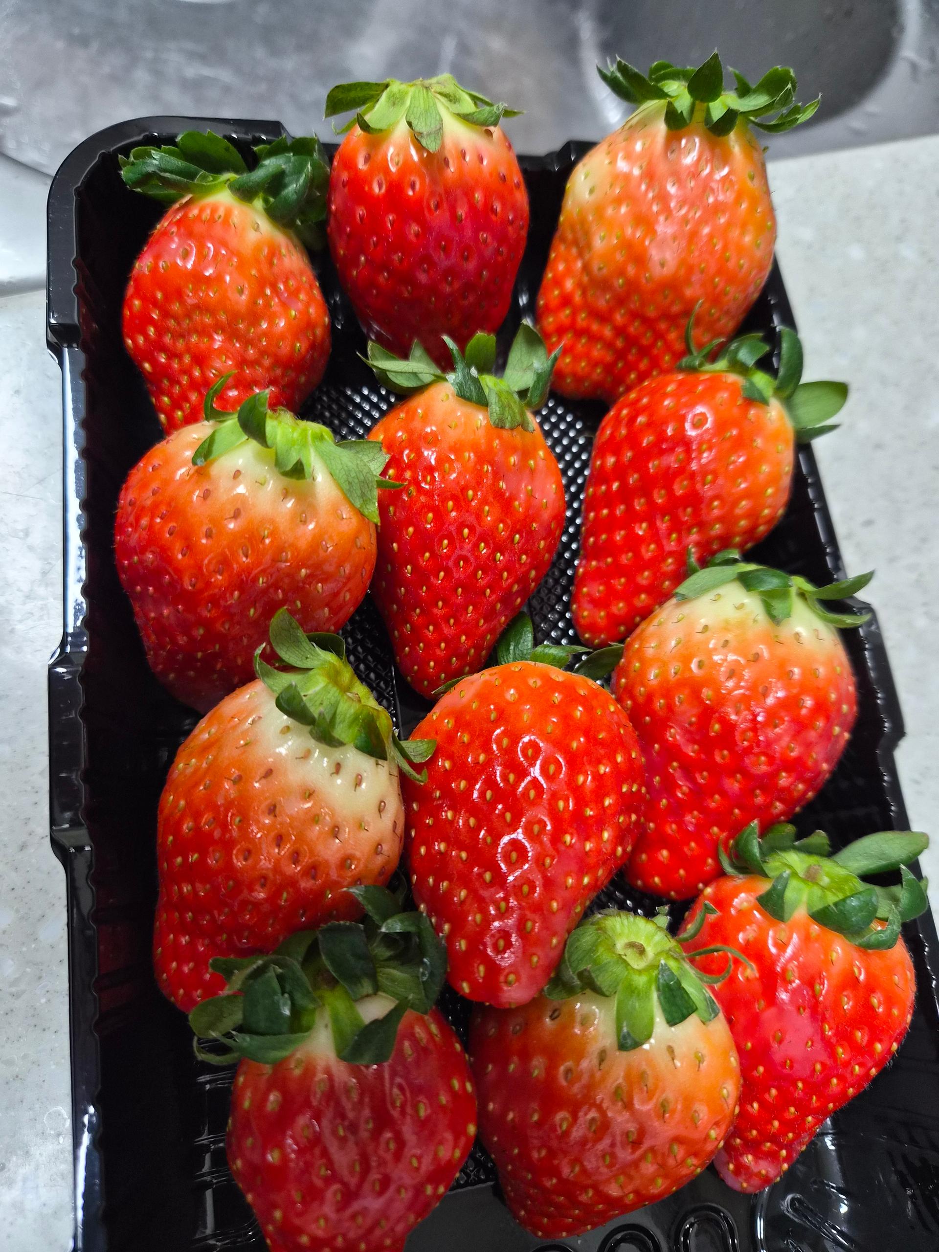 [사전예약 12/15 순차출고] 논산 킹스베리 900g