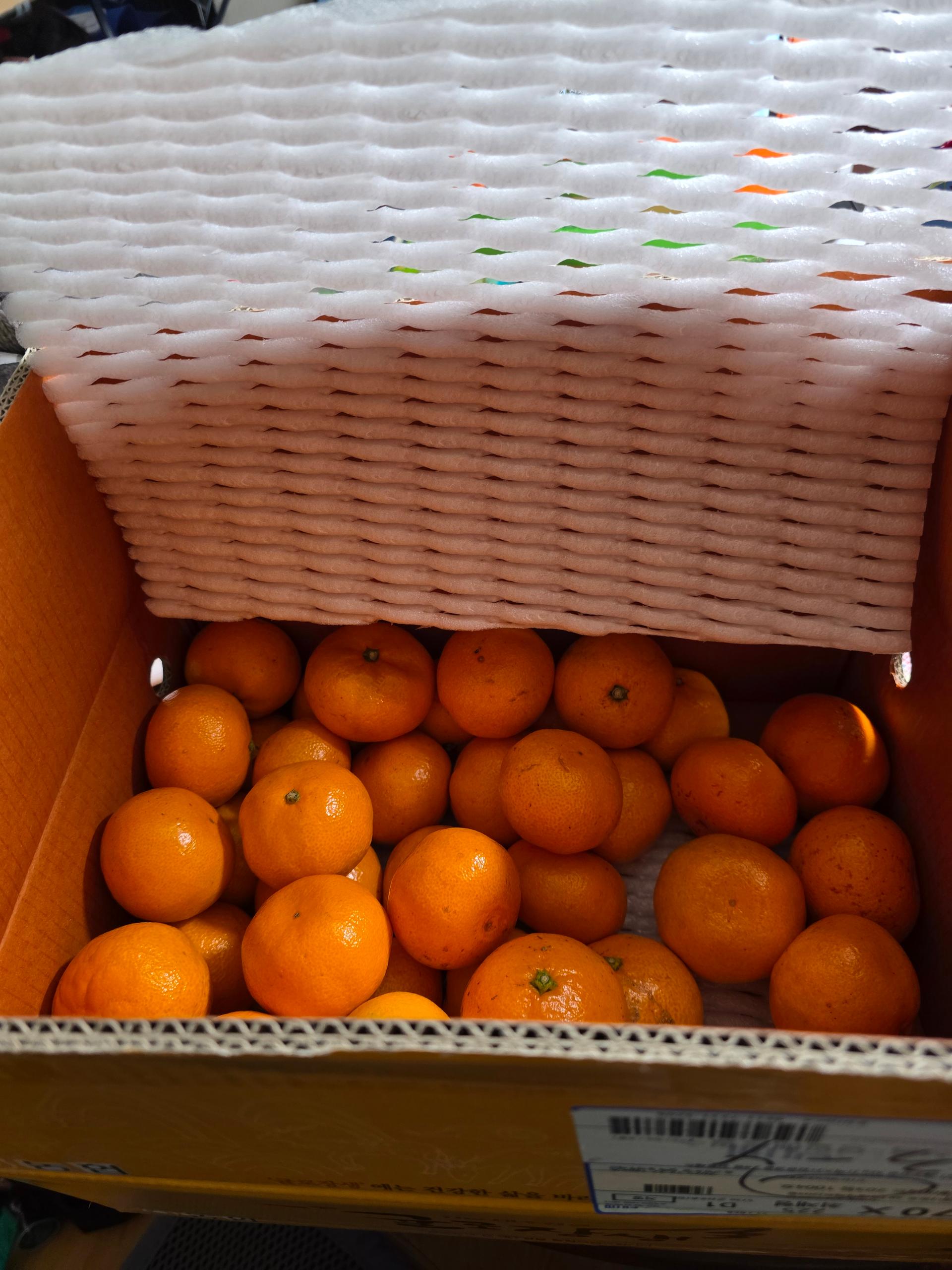 [연말한정! 감귤/과즐 ★분리발송★] 제주감귤 4kg (1박스)+감귤과즐 24봉 선물세트