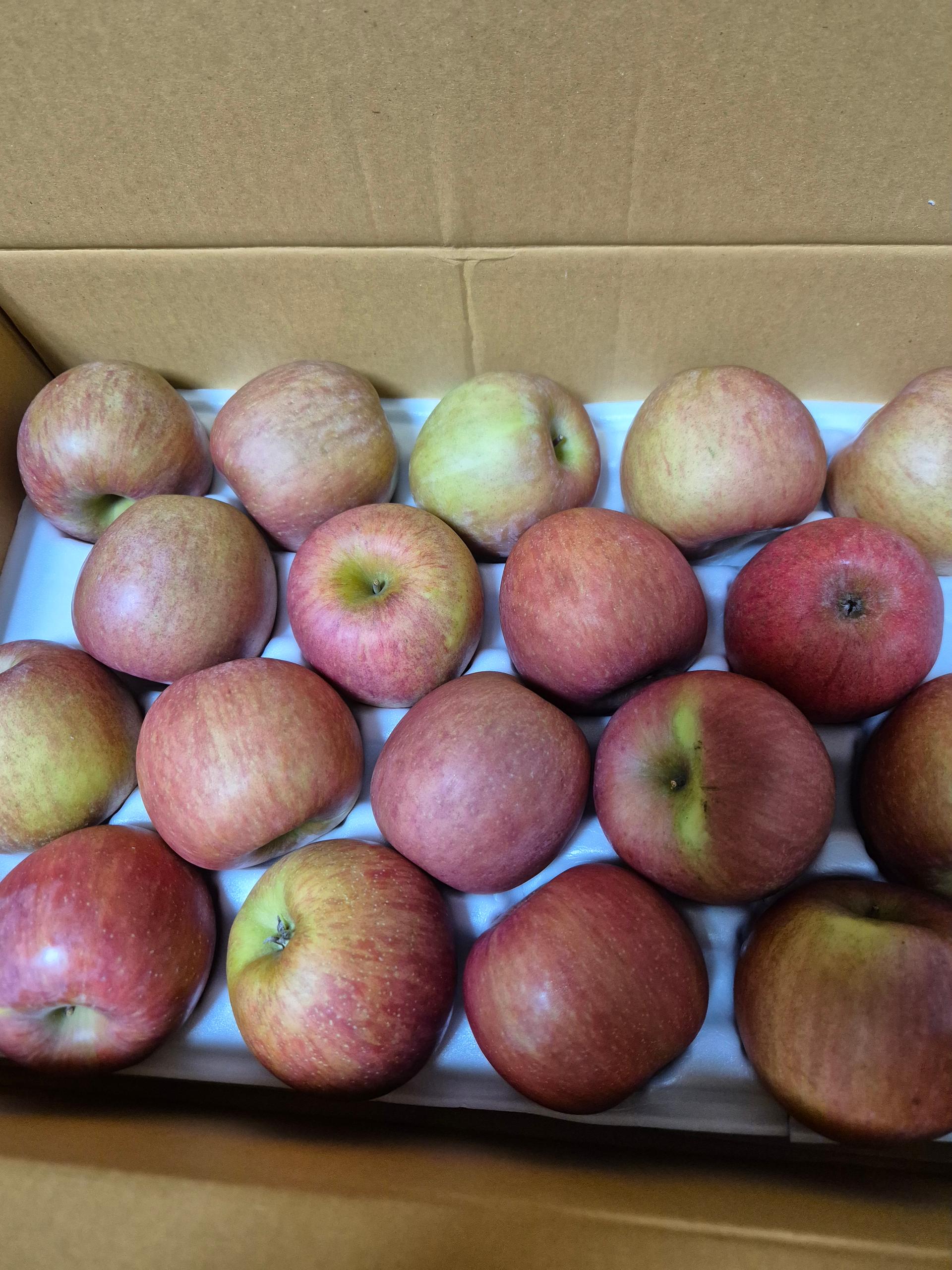 무주 반딧불 부사 4kg(18과)