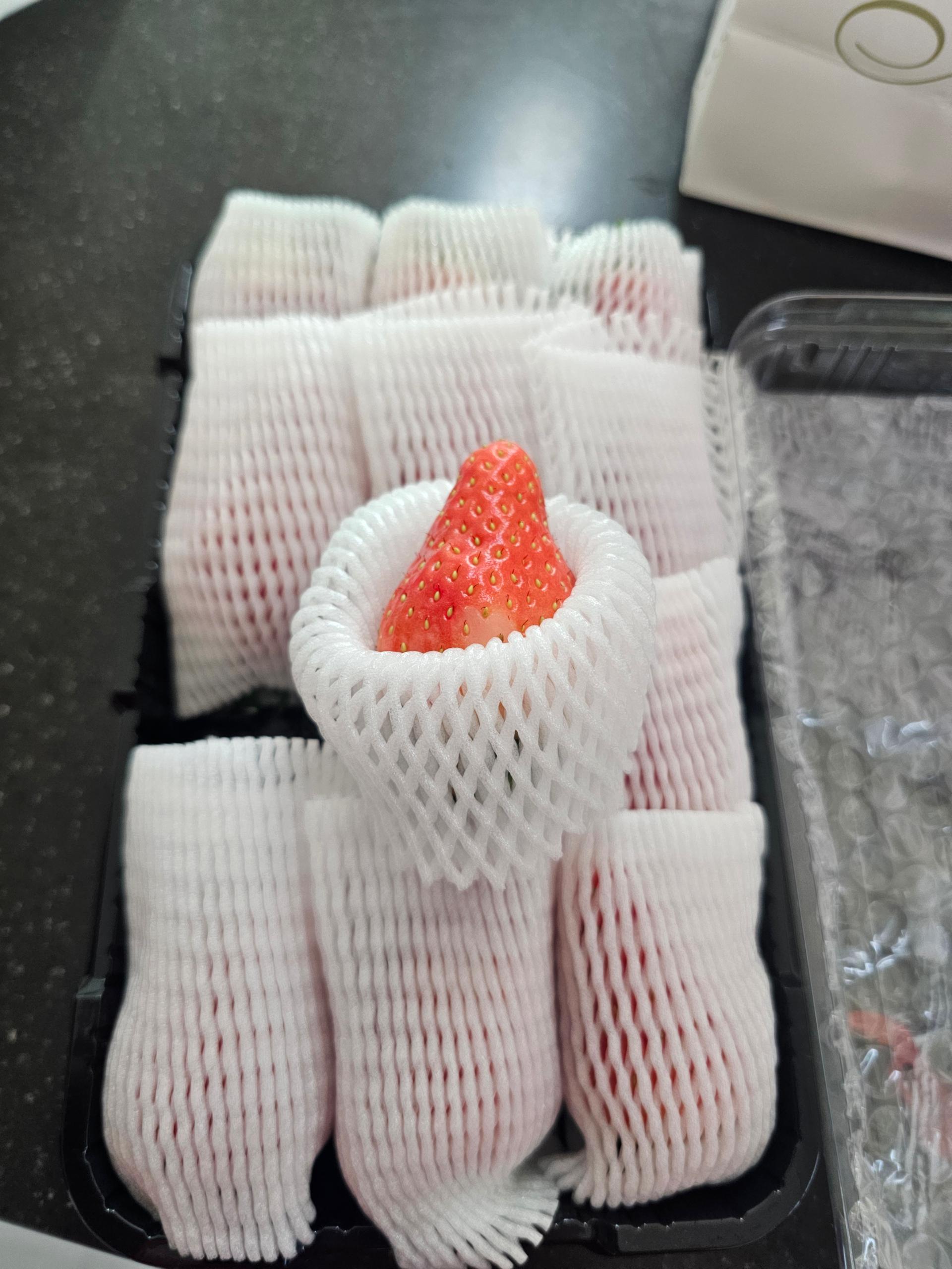 [사전예약 12/15 순차출고] 논산 킹스베리 900g