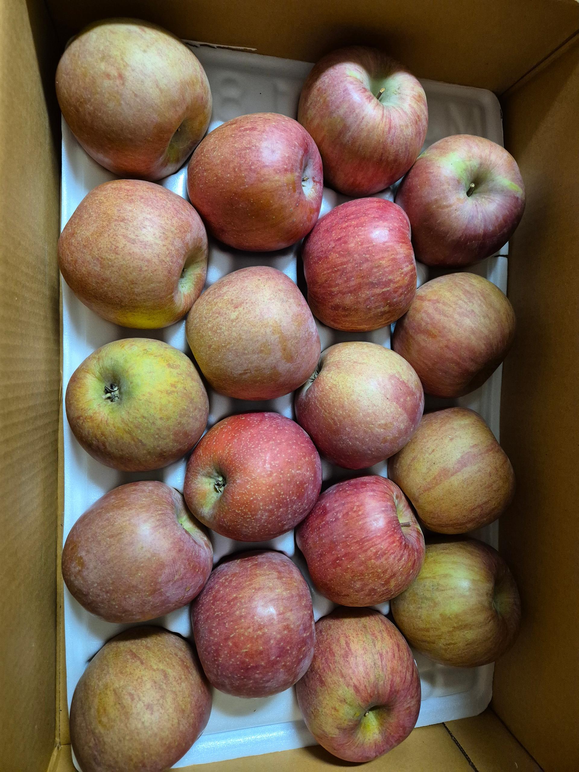 무주 반딧불 부사 4kg(18과)