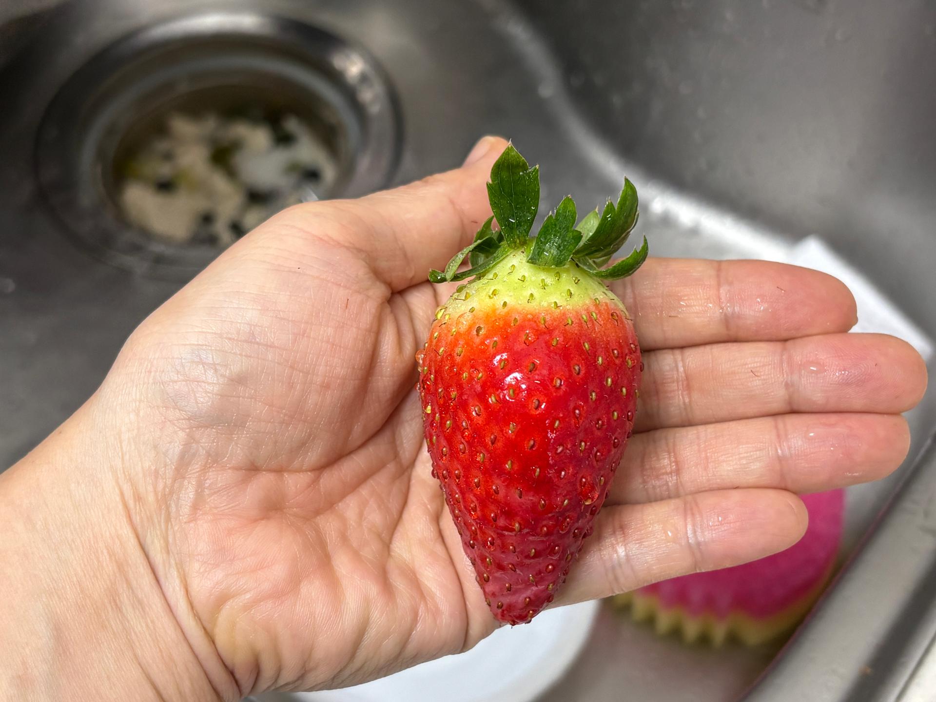 [사전예약 12/15 순차출고] 논산 킹스베리 900g