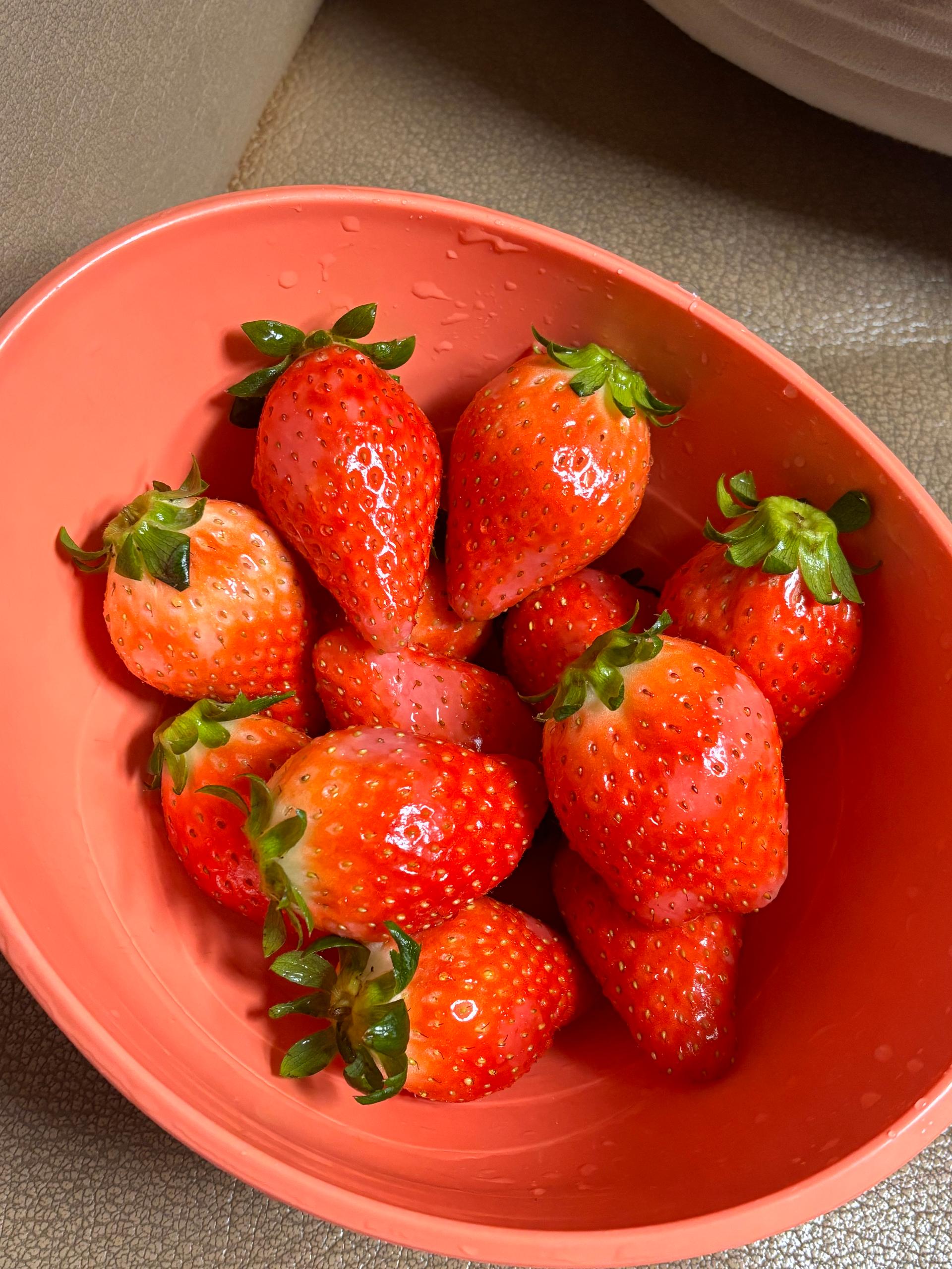 [사전예약 12/15 순차출고] 논산 킹스베리 900g