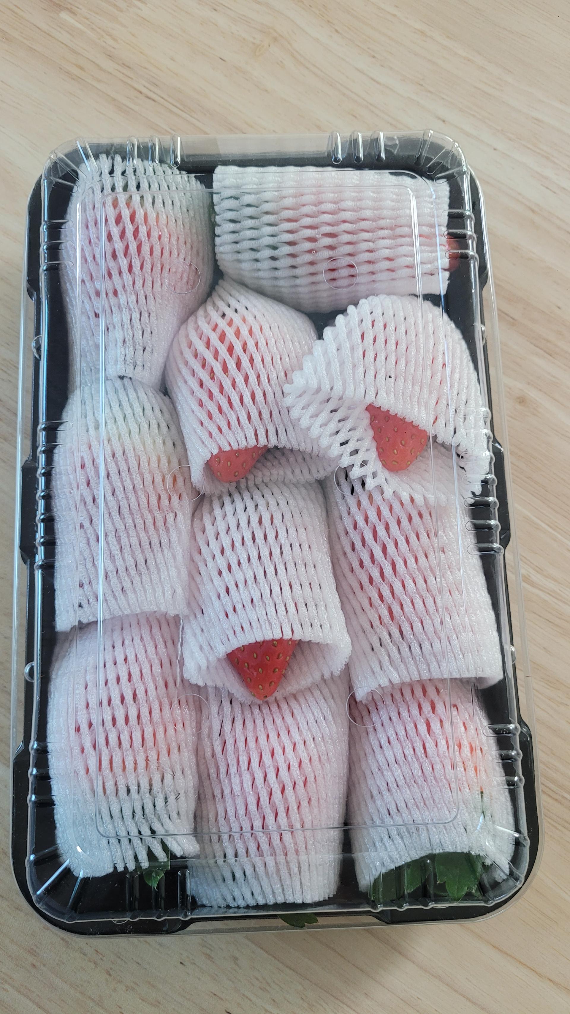 [사전예약 12/15 순차출고] 논산 킹스베리 900g