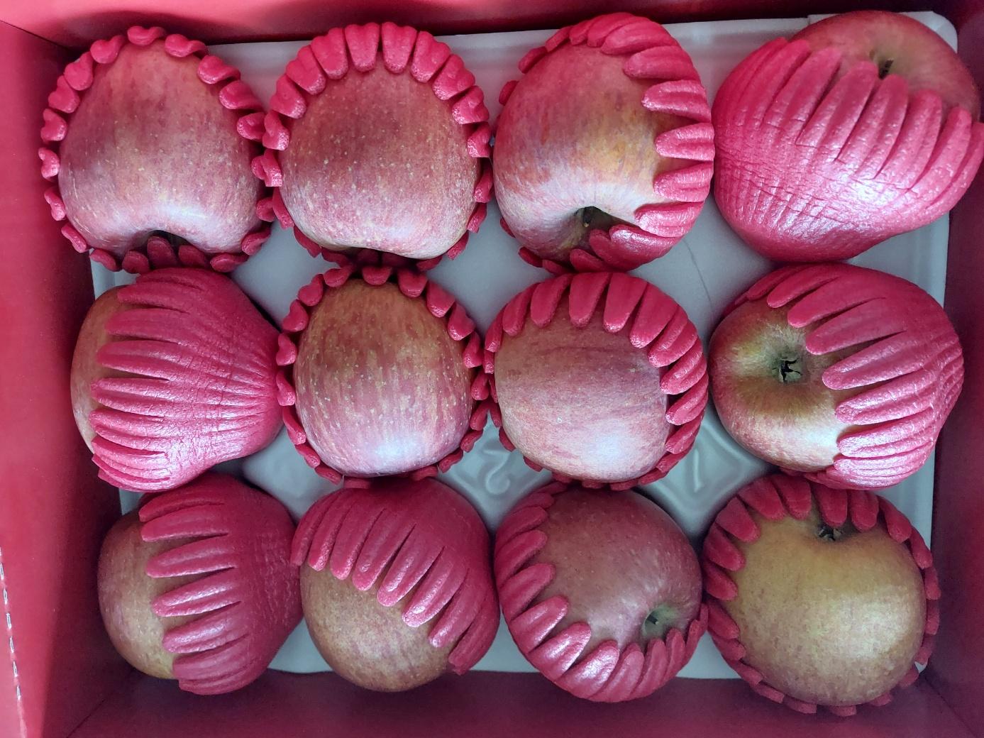 무주 반딧불 부사 3kg(12과)