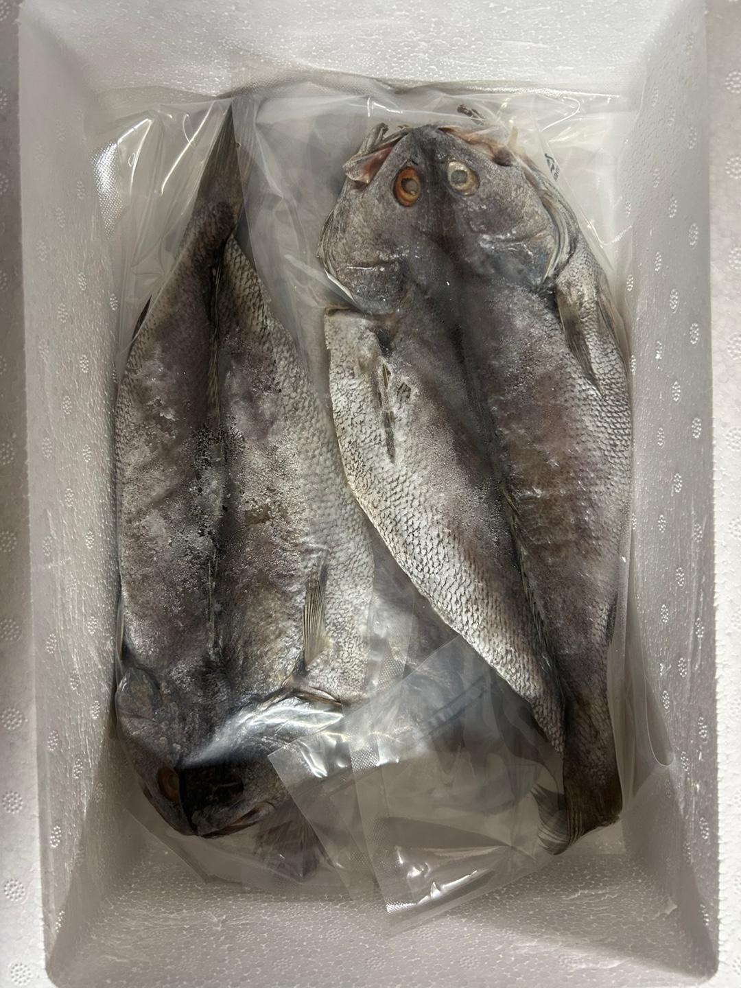 현대건어물 반건조 민어 5마리