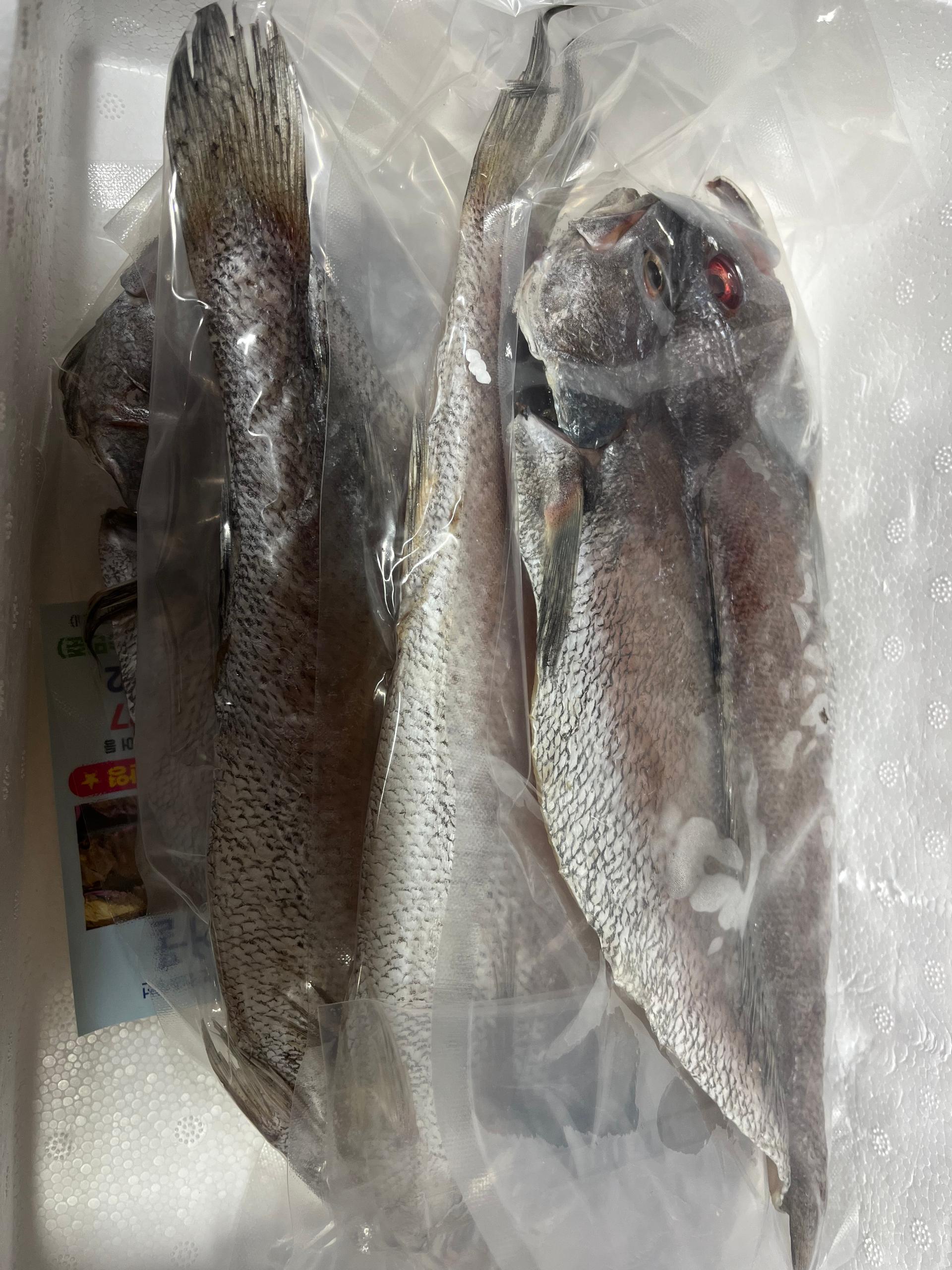 현대건어물 반건조 민어 5마리