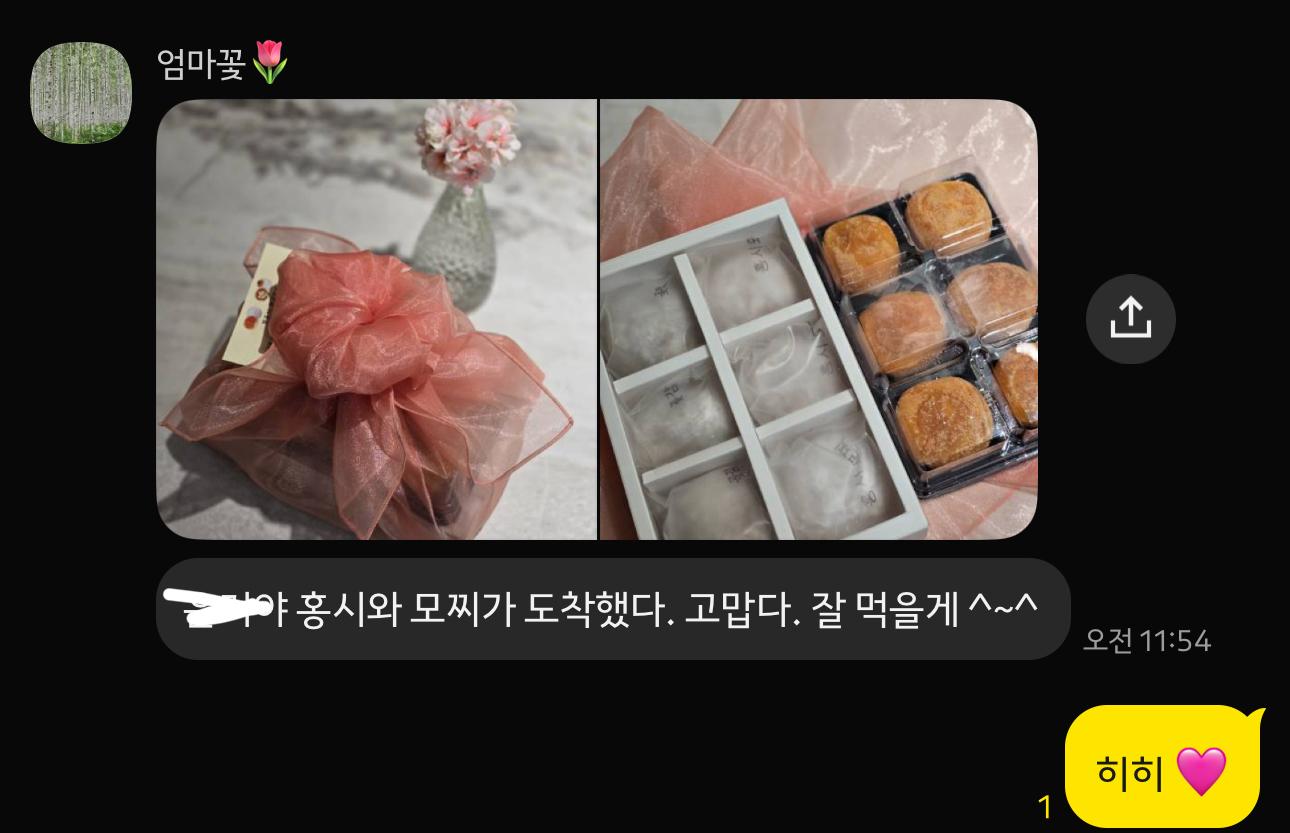 홍시반 수제모찌 선물세트(홍시모찌 3구+곶감모찌 3구+반건시 6구)