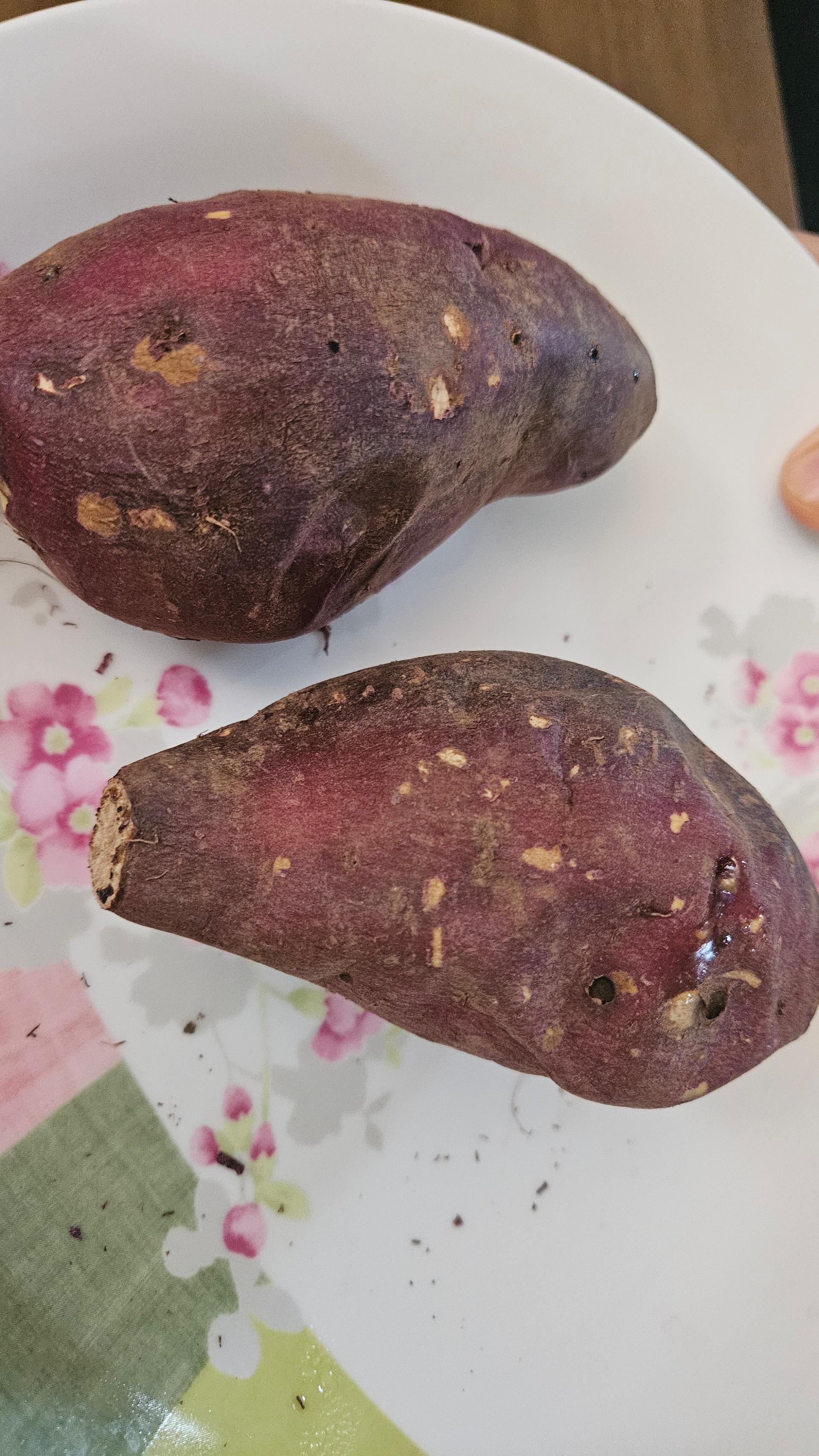 욕지도 고구마 (꿀고구마 5kg, 밤고구마 5kg, 호박고구마 5kg) 