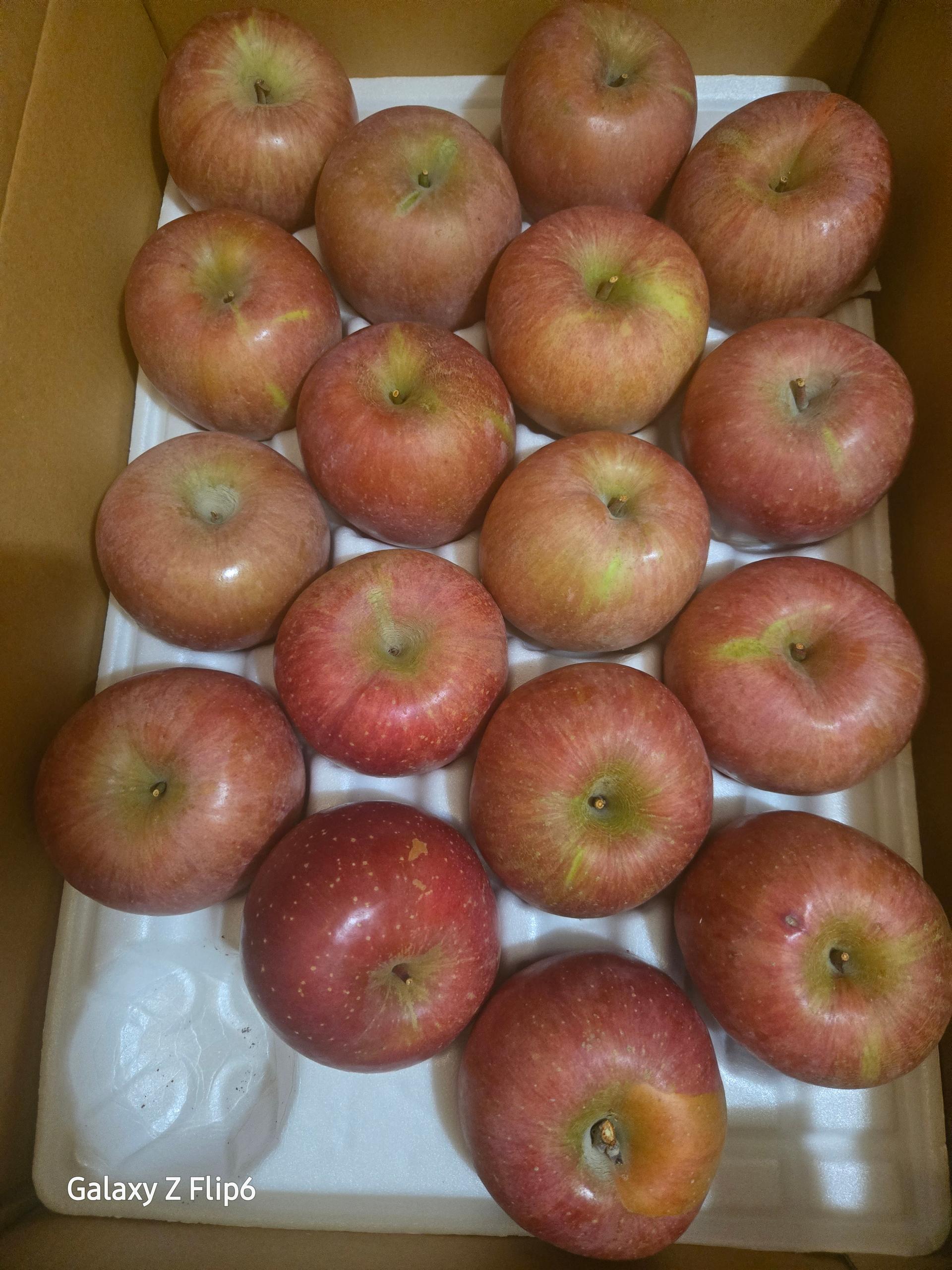 무주 반딧불 부사 4kg(18과)