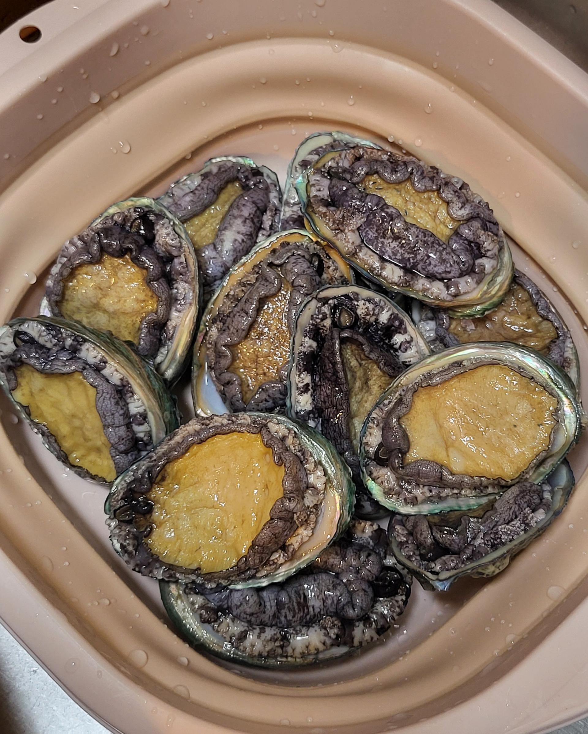 활전복 1kg (10~12미) + 1마리 추가