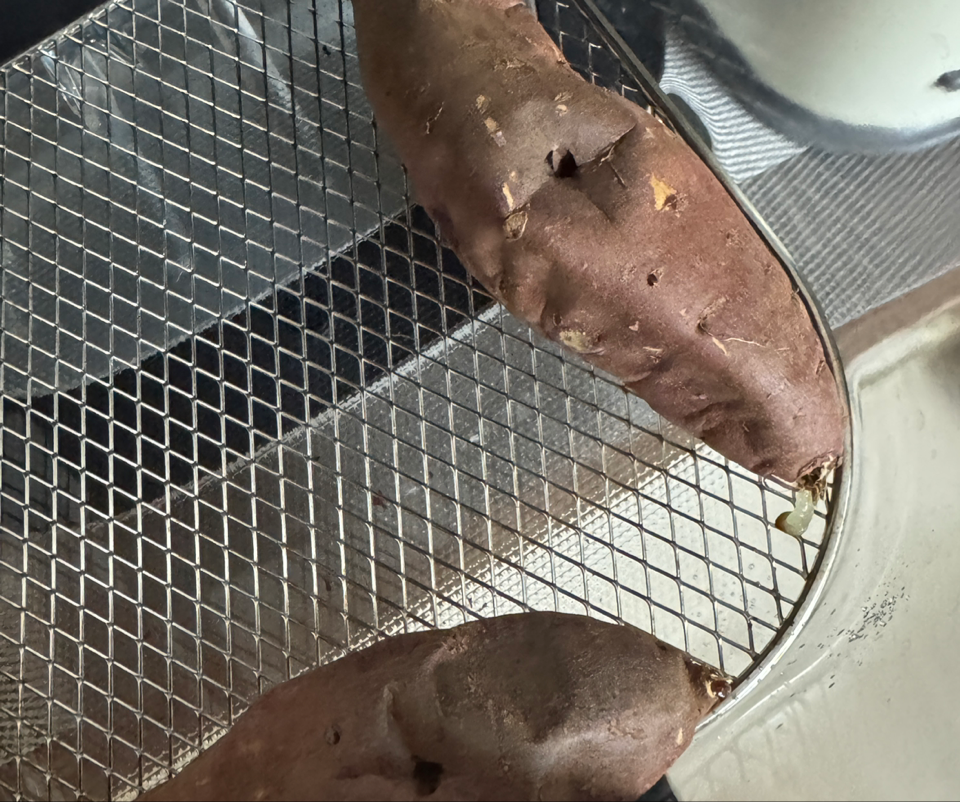 욕지도 고구마 (꿀고구마 5kg, 밤고구마 5kg, 호박고구마 5kg) 