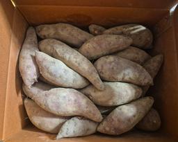 욕지도 고구마 (꿀고구마 5kg, 밤고구마 5kg, 호박고구마 5kg) -2