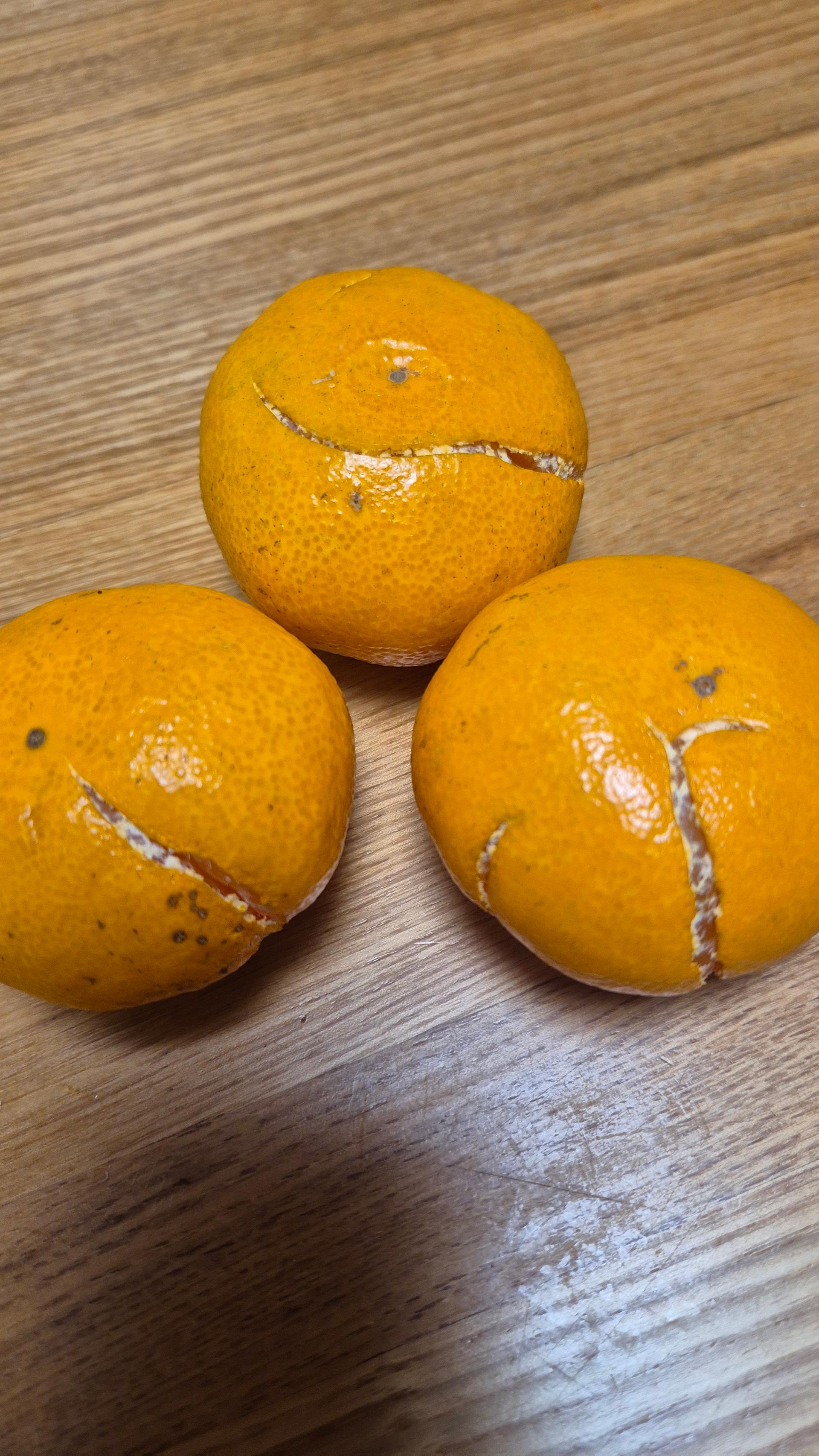 [연말한정! 감귤/오메기떡 ★분리발송★] 제주감귤 4kg (1박스)+오메기떡 20개 선물세트(택1)