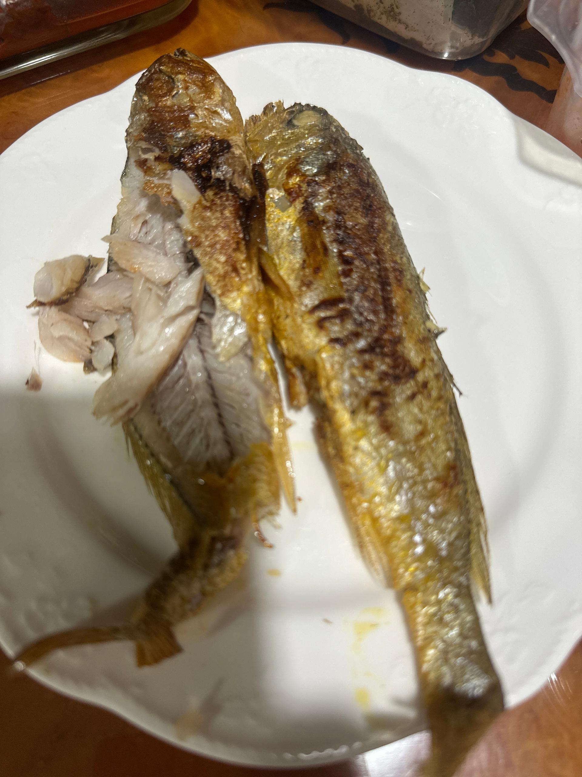 포토후기 이미지