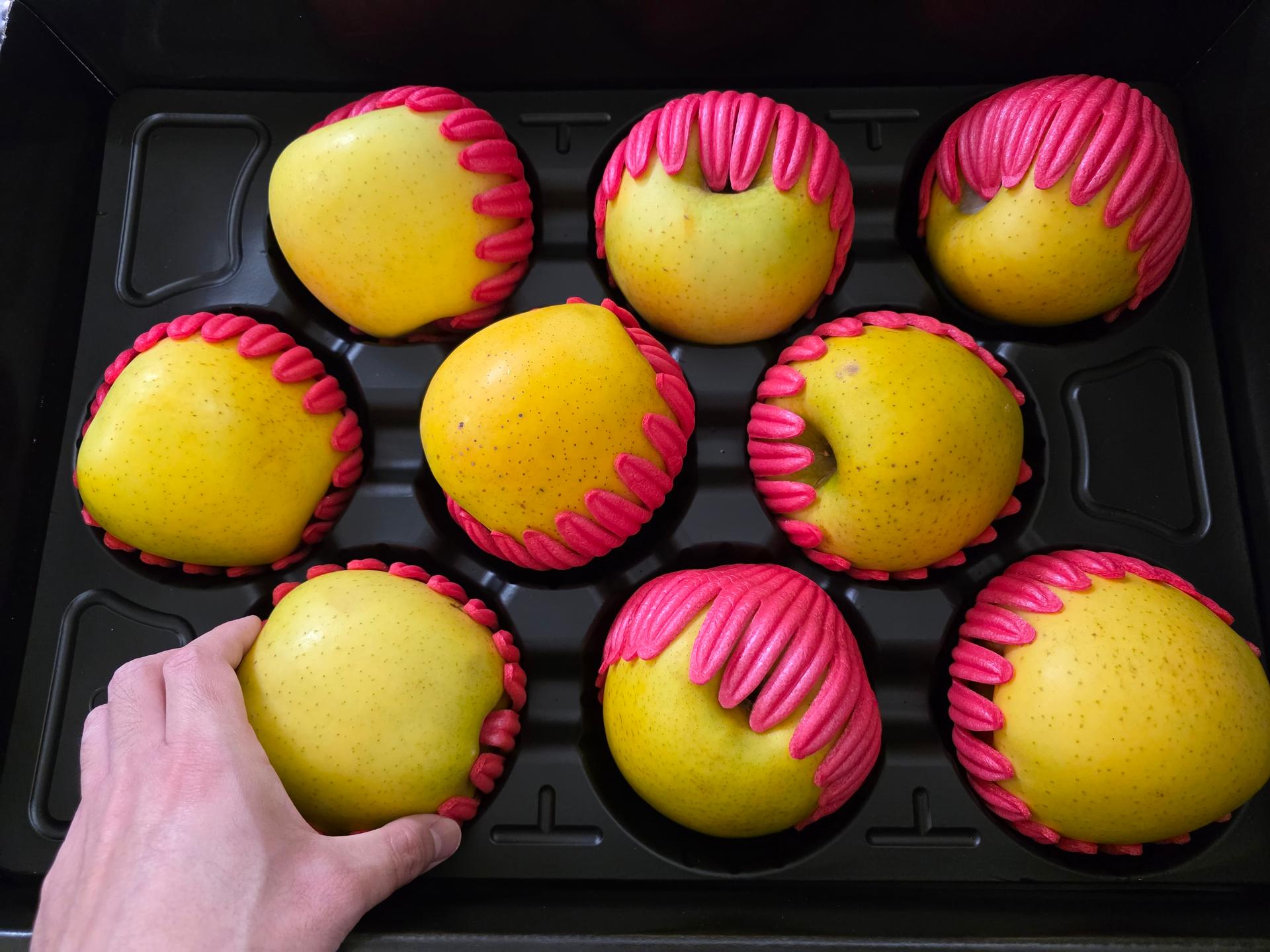 [대경사과원예농협]영주사과 3.2kg 선물세트+1kg 추가 증정