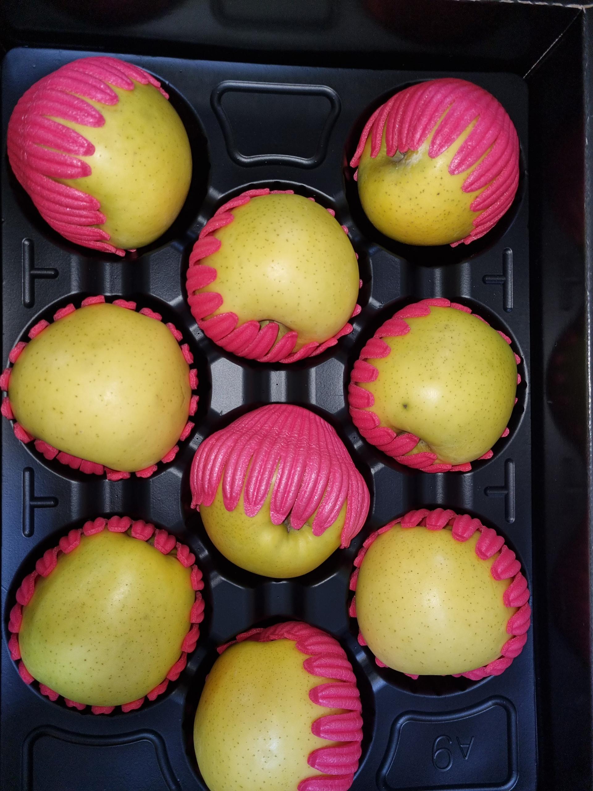 [대경사과원예농협]영주사과 3.2kg 선물세트+1kg 추가 증정