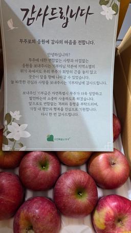 무주 반딧불 부사 4kg(18과)-2