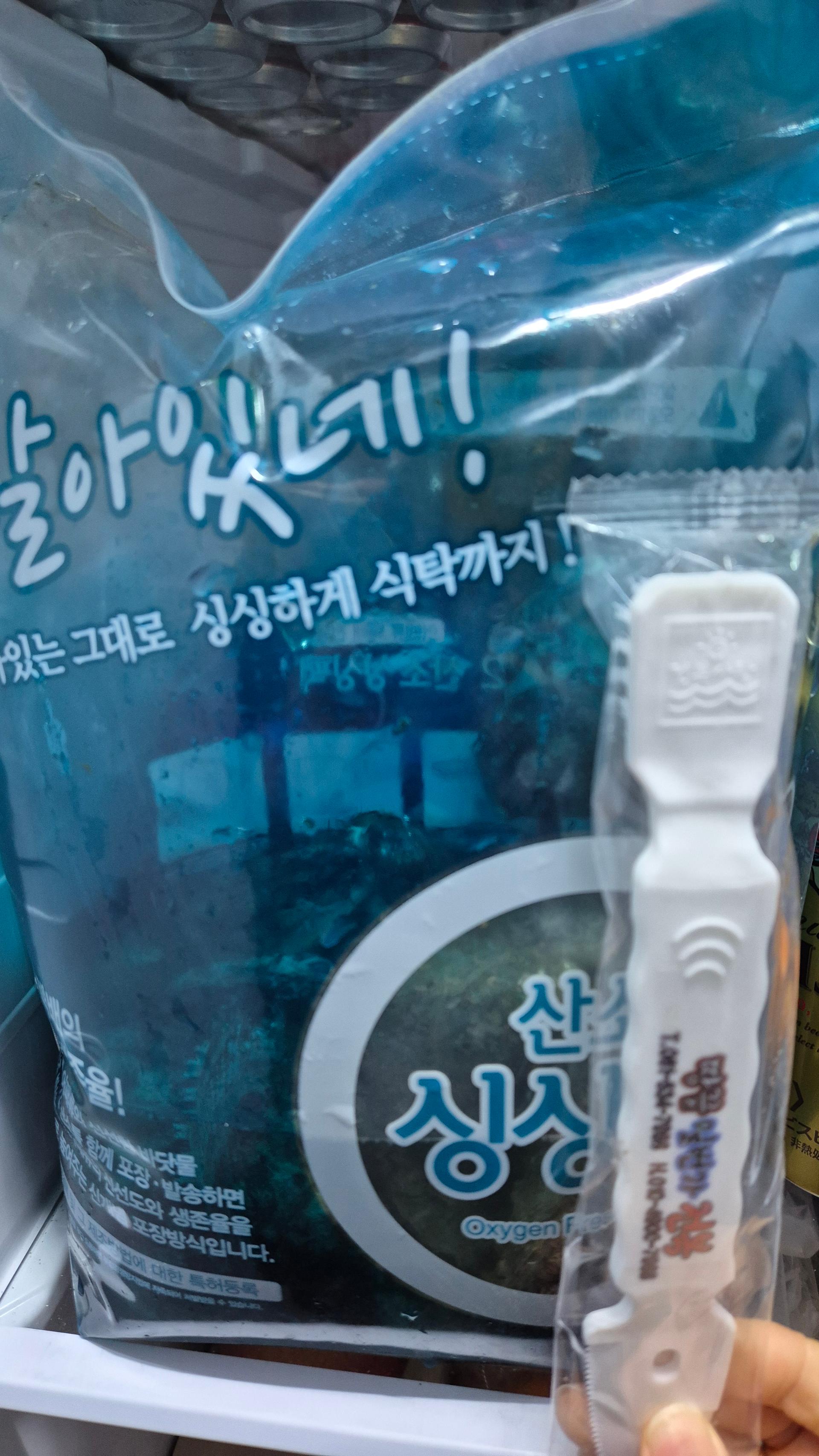 땅끝일번가전복 활전복 18미 - 1kg