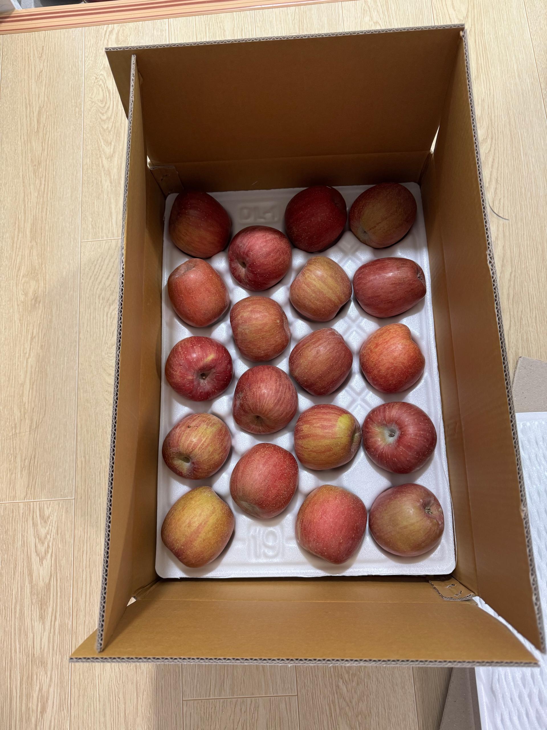 풍기농협 영주사과 3.5kg + 1kg 추가증정